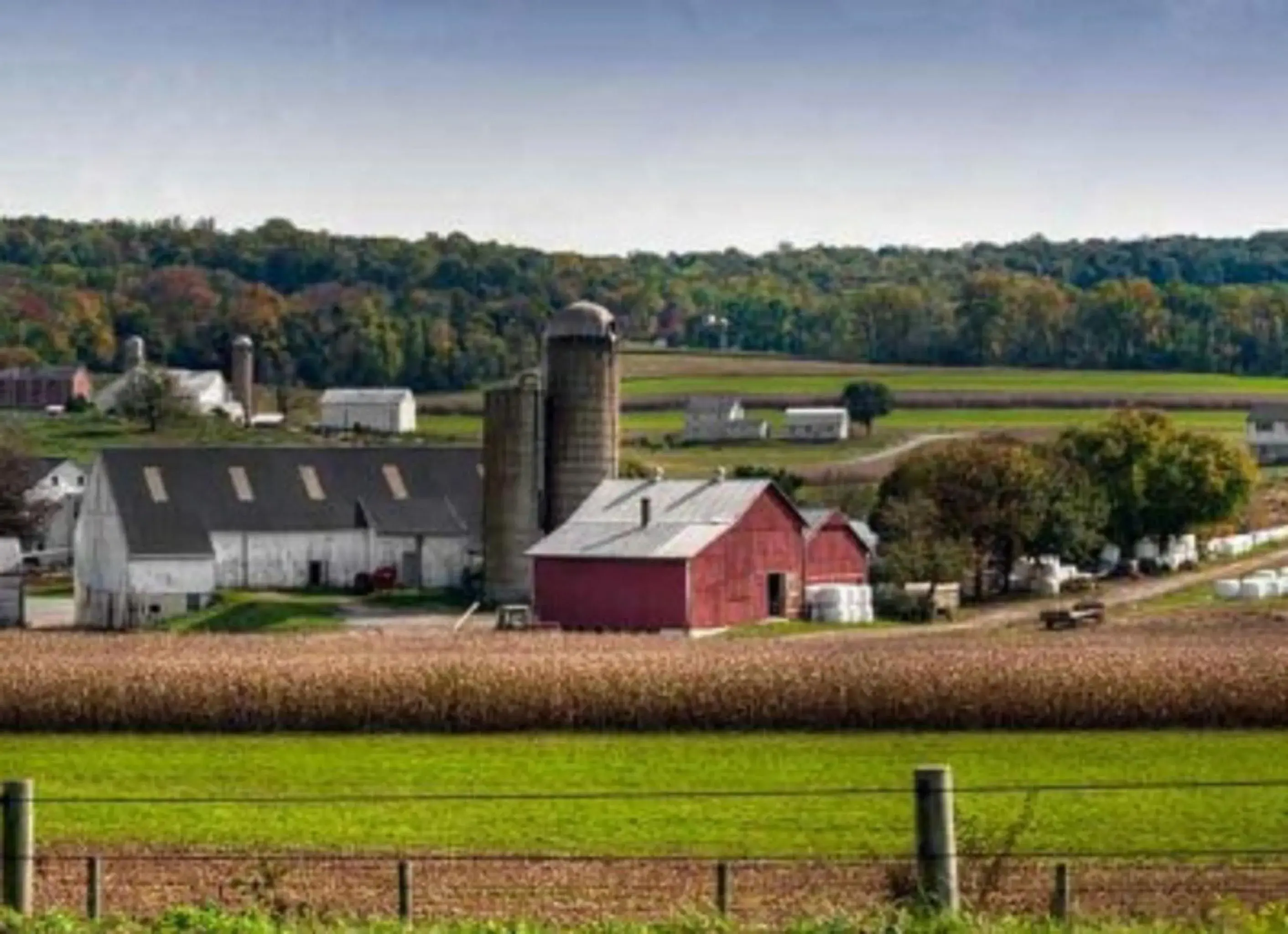 AmishView Inn & Suites AmishView Inn & Suites