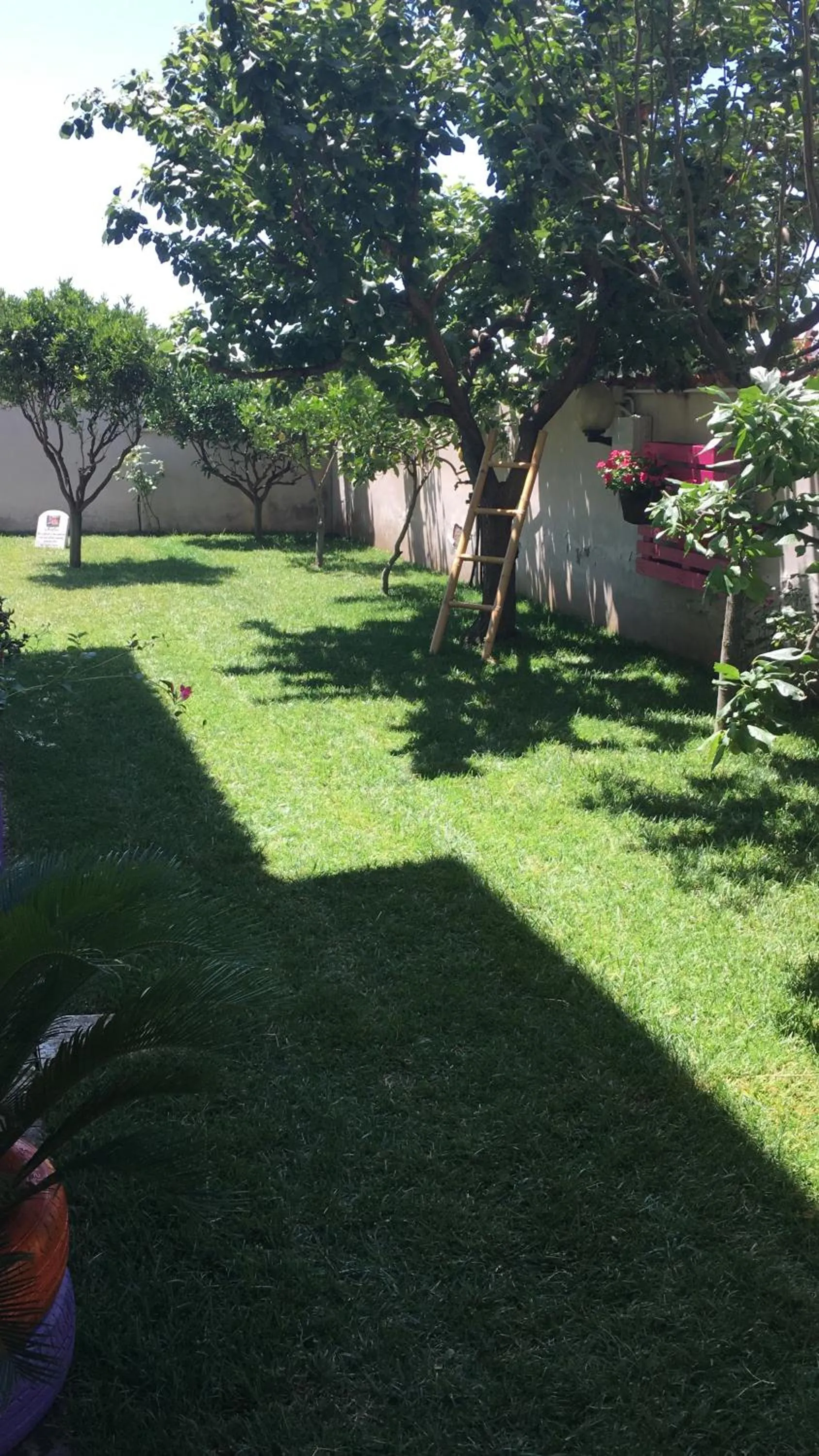 Property building in CLARISSABEB