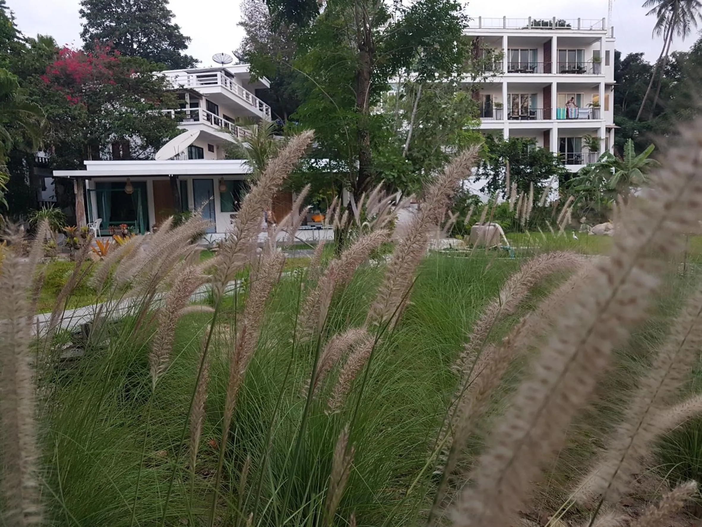 Natural landscape in In Touch Resort