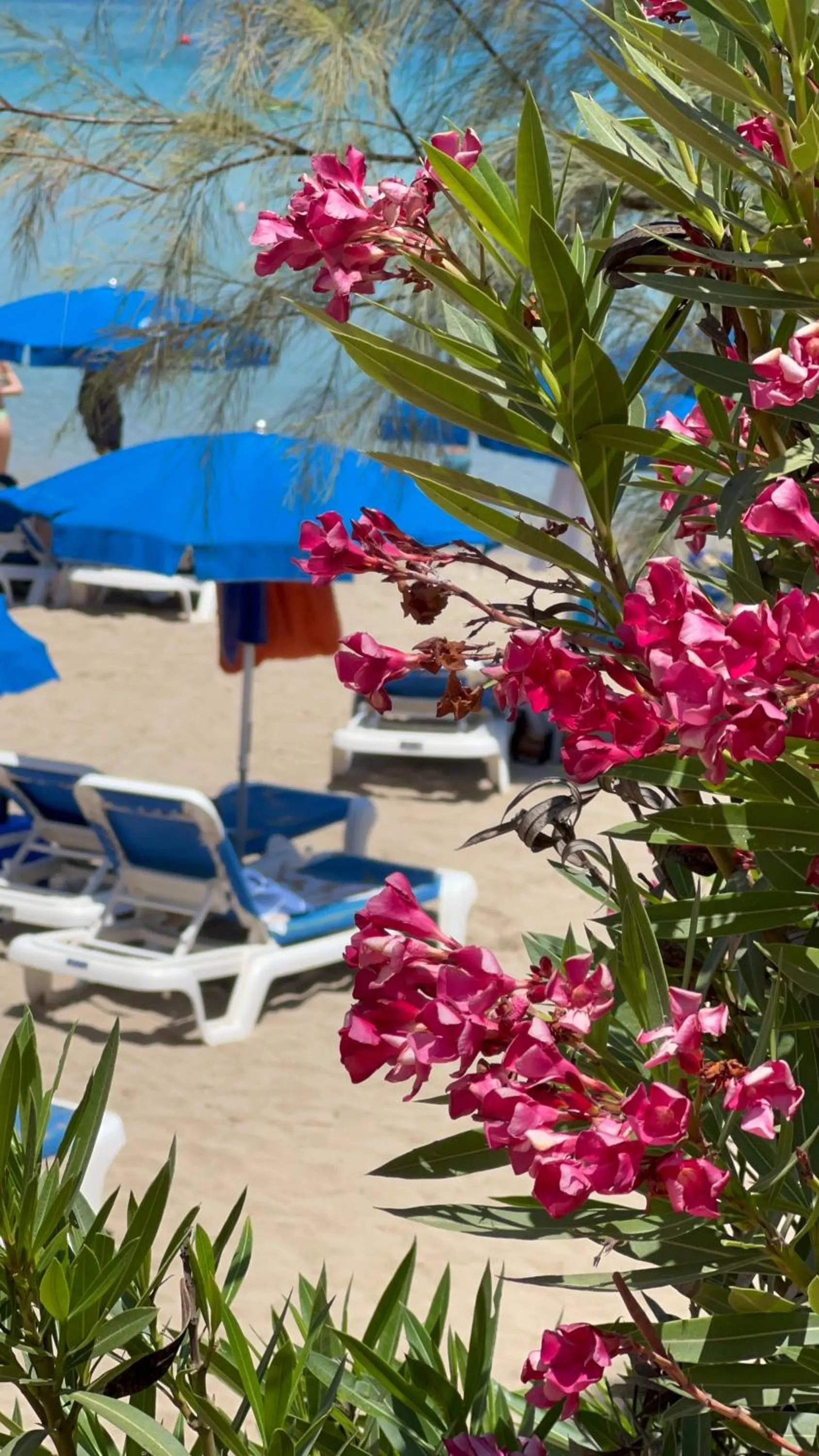 Nearby landmark in Adelais Bay Hotel