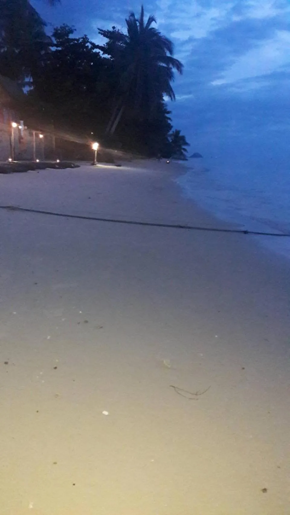 Jungle Hut Bungalows & Hotel