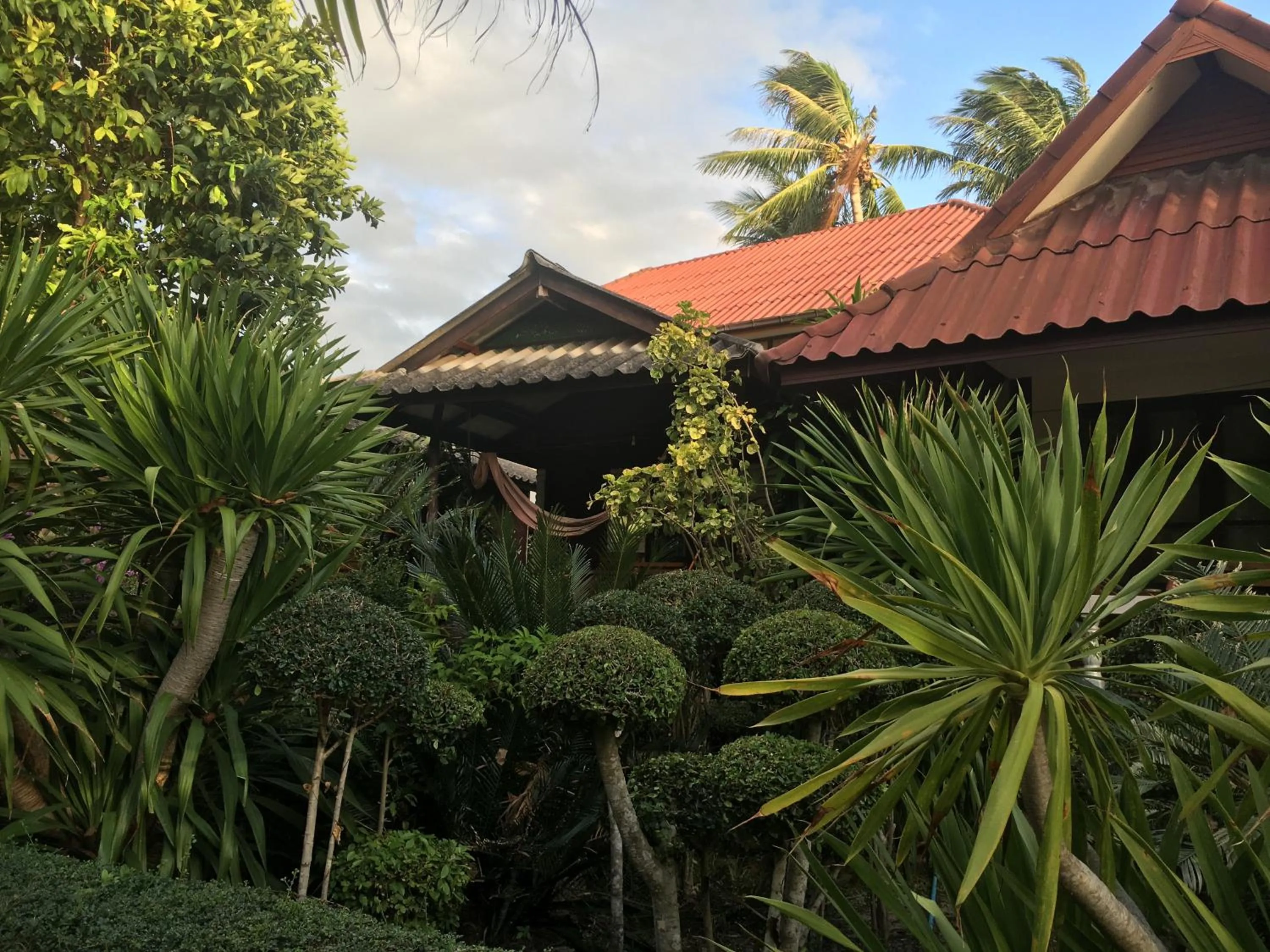 Jungle Hut Bungalows & Hotel