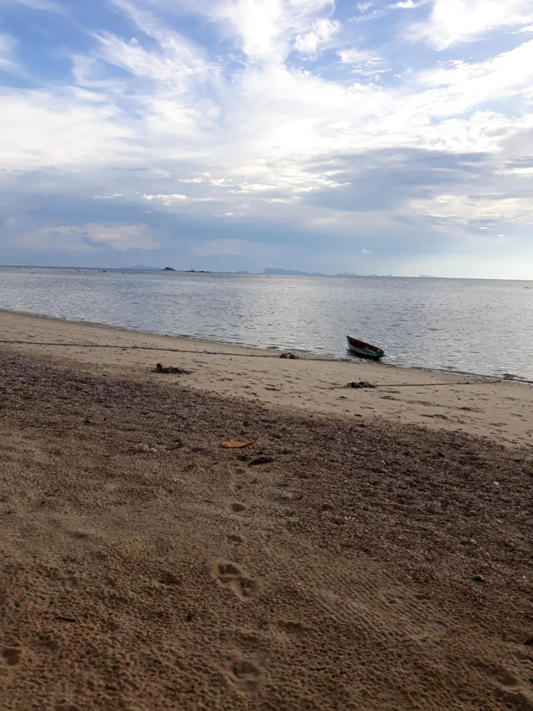 Jungle Hut Bungalows & Hotel