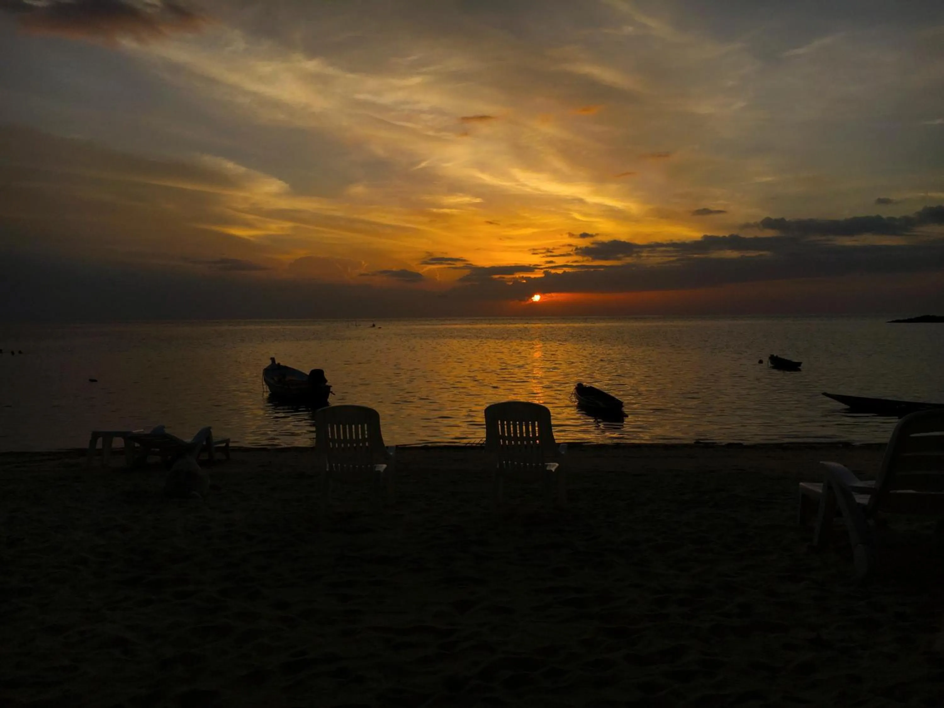 Beach in Jungle Hut Bungalows & Hotel