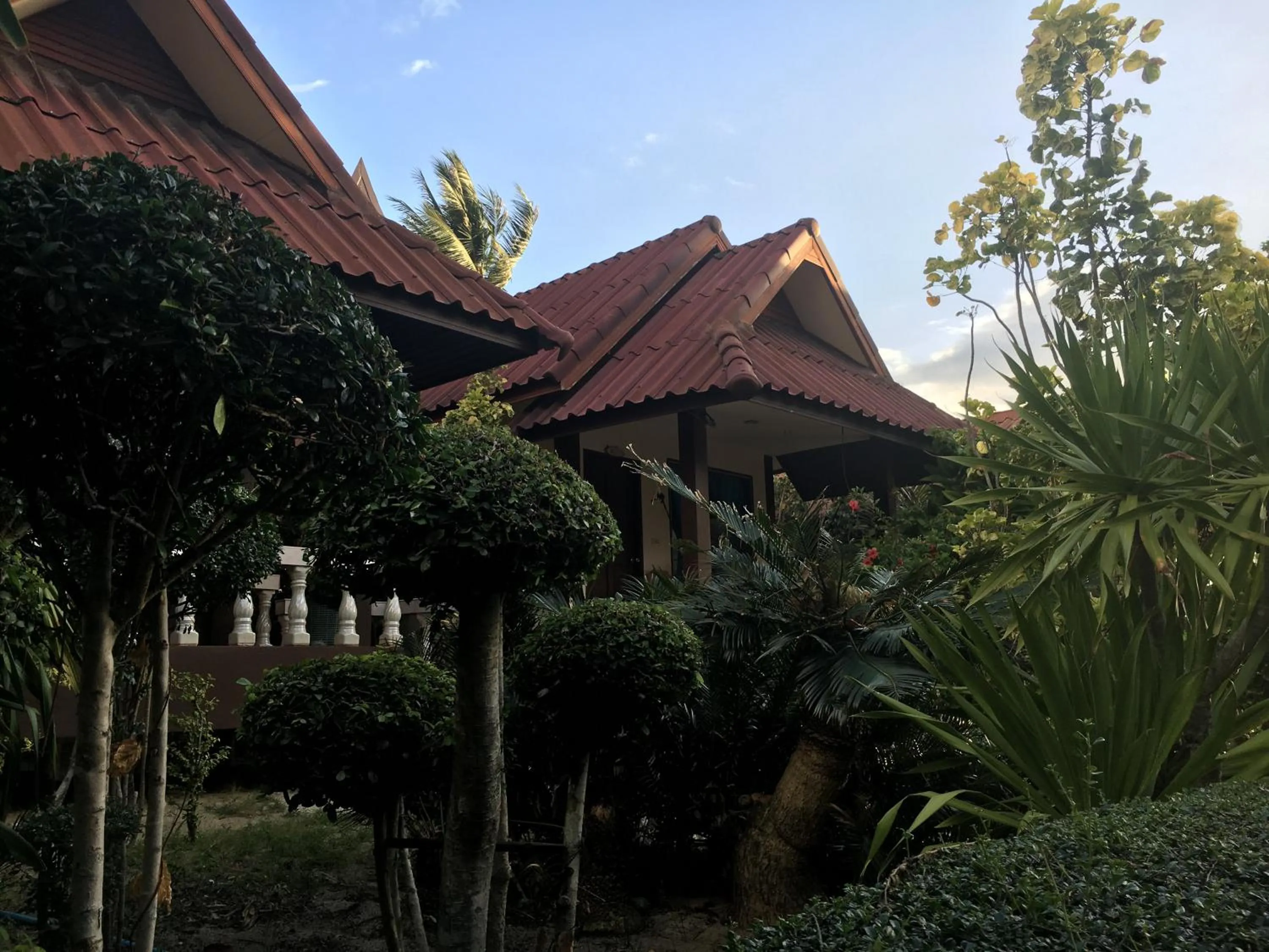 Jungle Hut Bungalows & Hotel