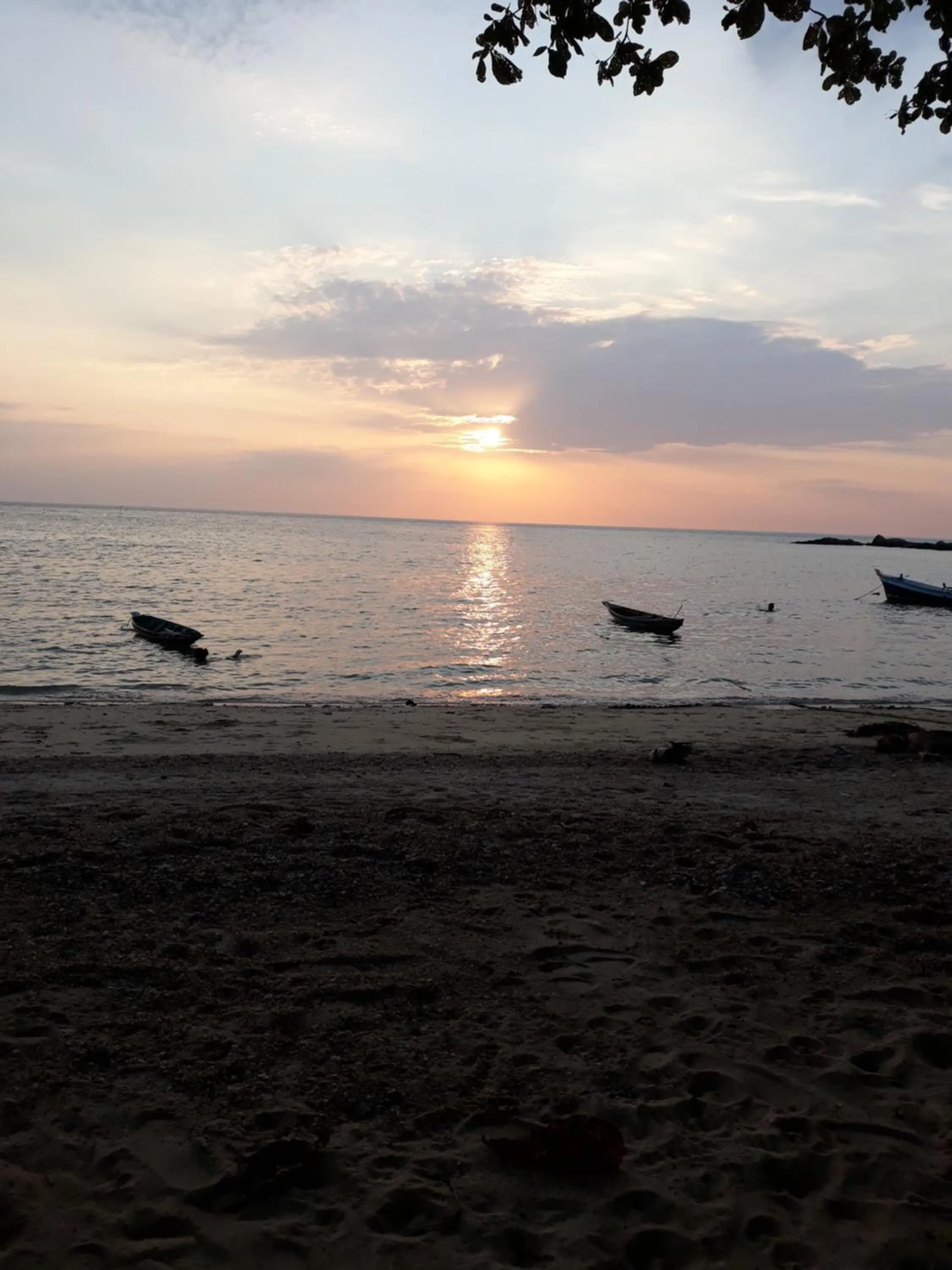 Jungle Hut Bungalows & Hotel