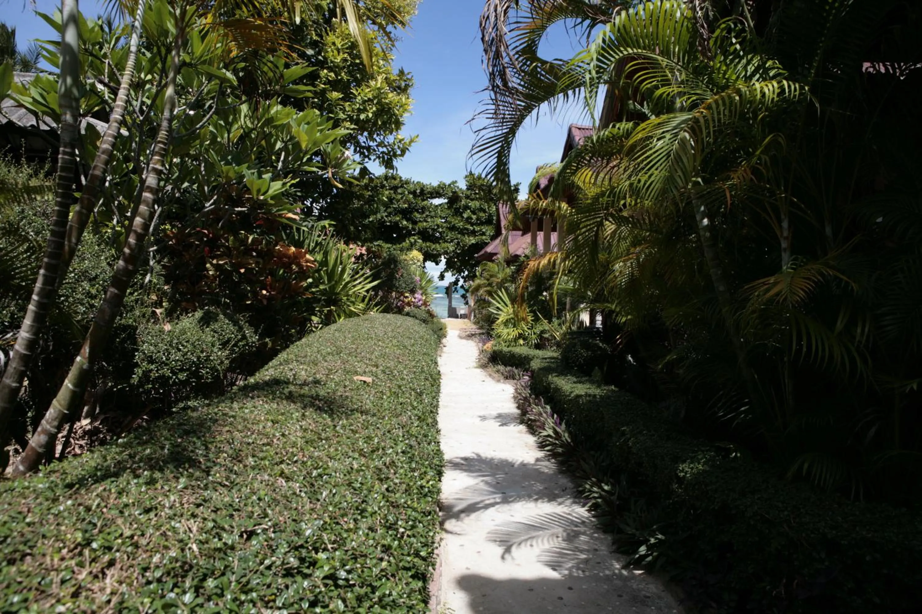 Day in Jungle Hut Bungalows & Hotel