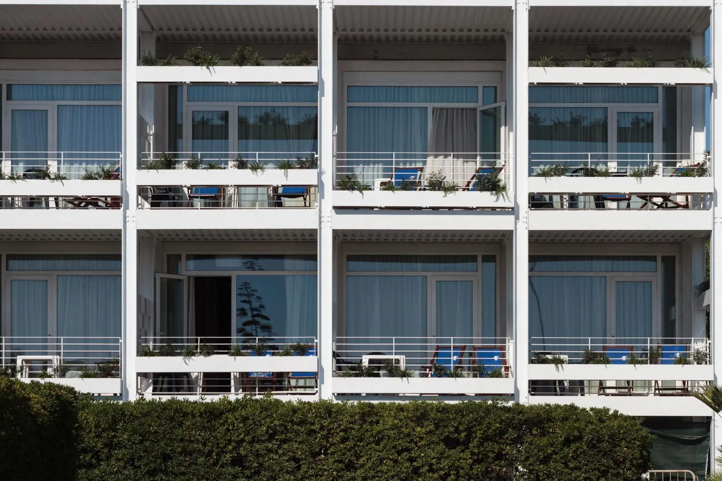 Facade/entrance in Hotel La Conchiglia Facade/entrance in Hotel La Conchiglia