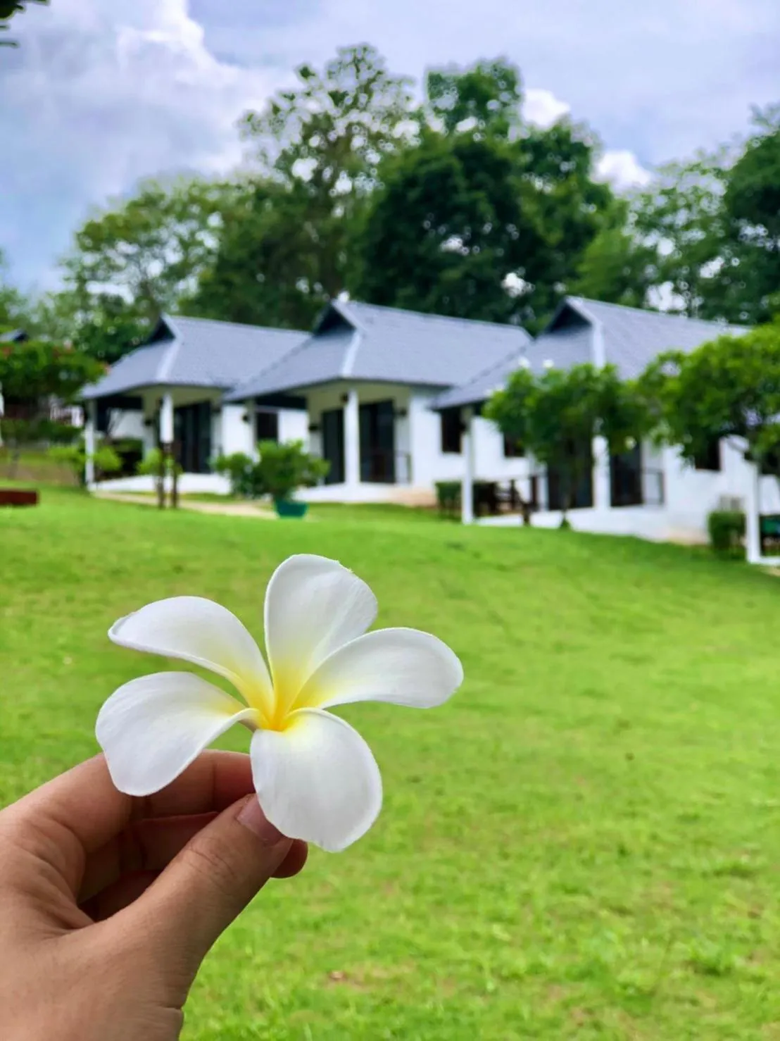 Property building in Diamond Village Pai