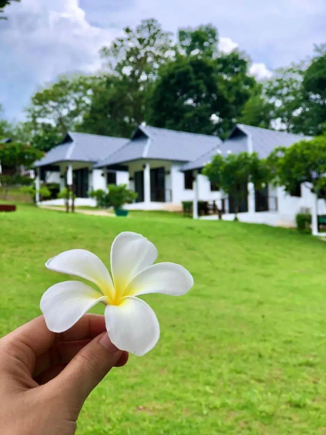 Property building in Diamond Village Pai Property building in Diamond Village Pai