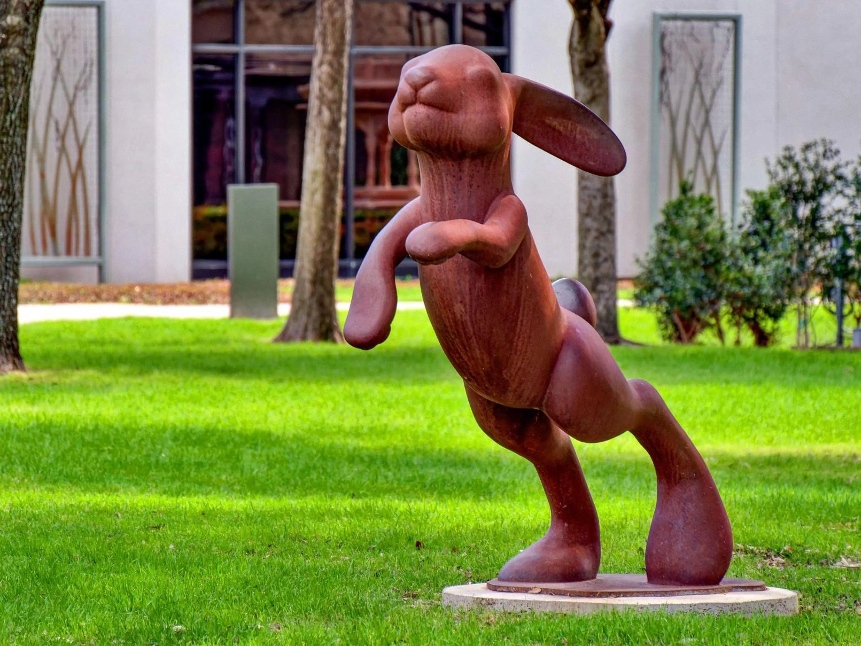 Sports in Hilton Anatole