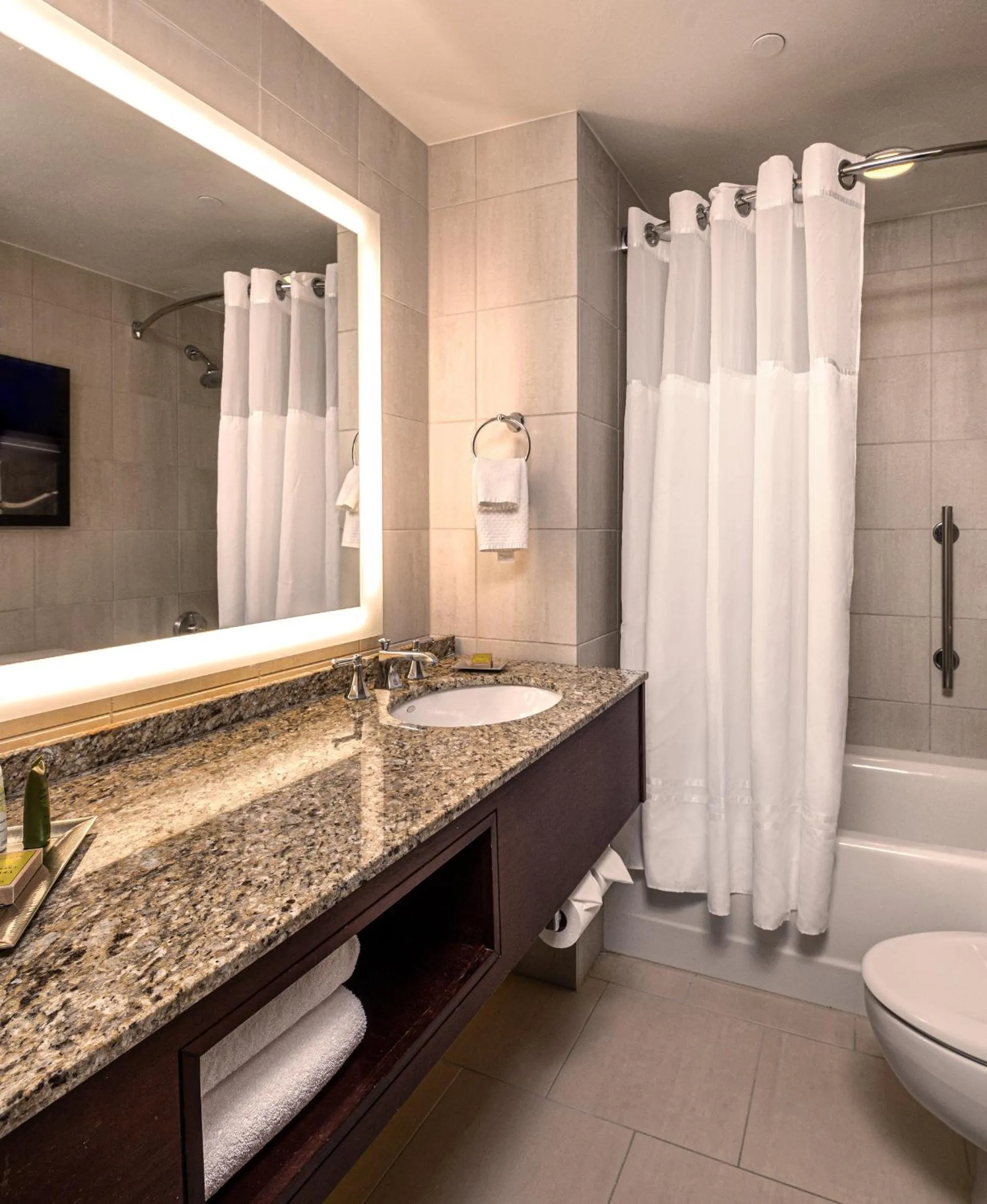 Bathroom in Hilton Anatole