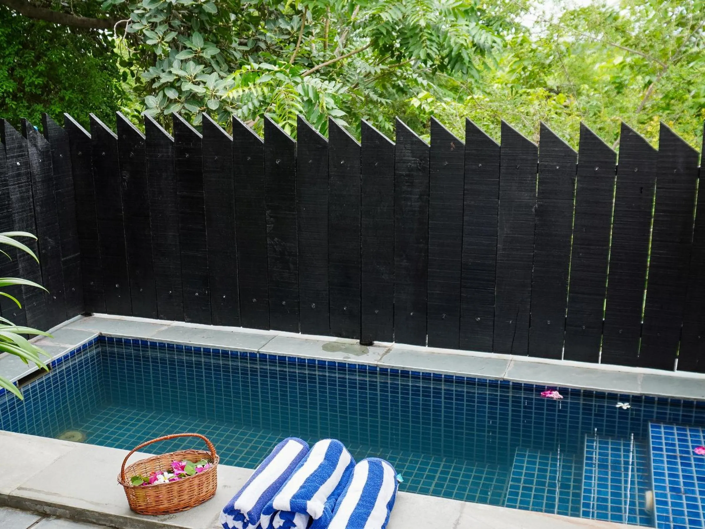 Pool view in Bella Basera