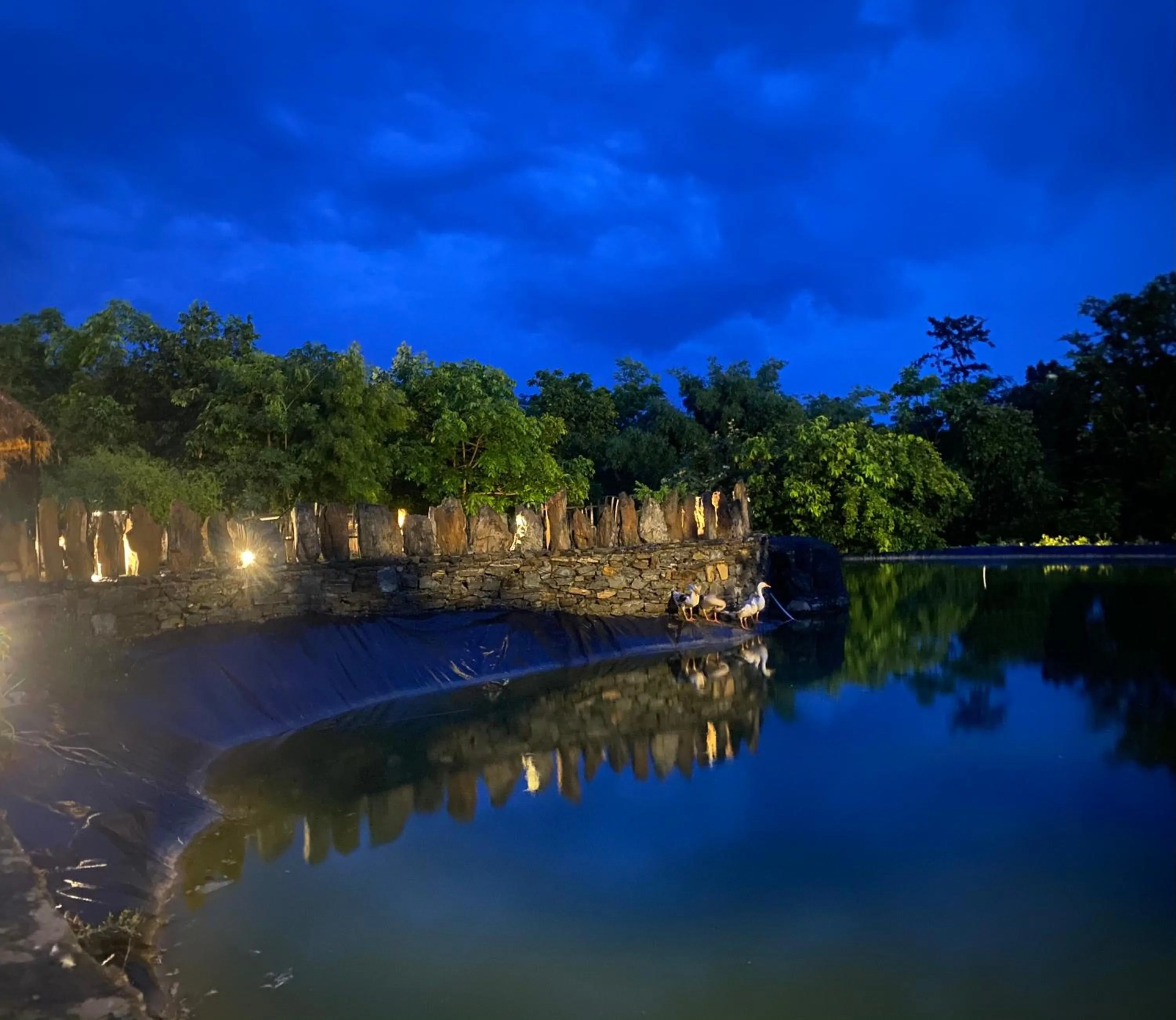 Night in Bella Basera