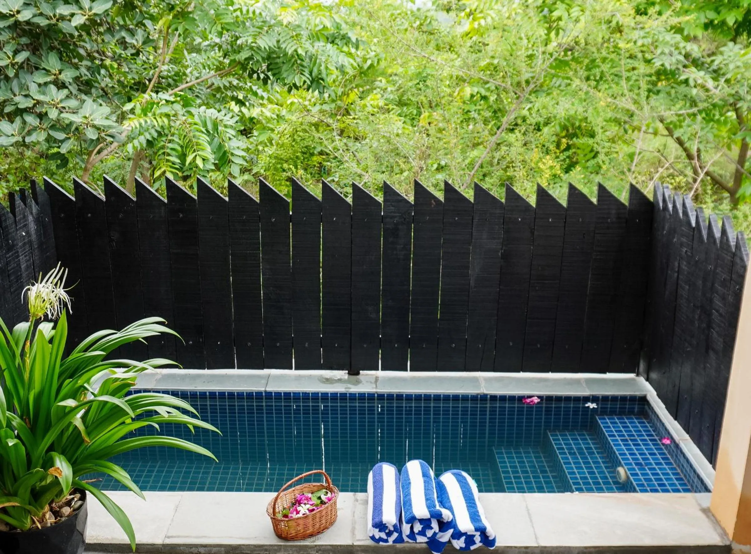 Pool view in Bella Basera