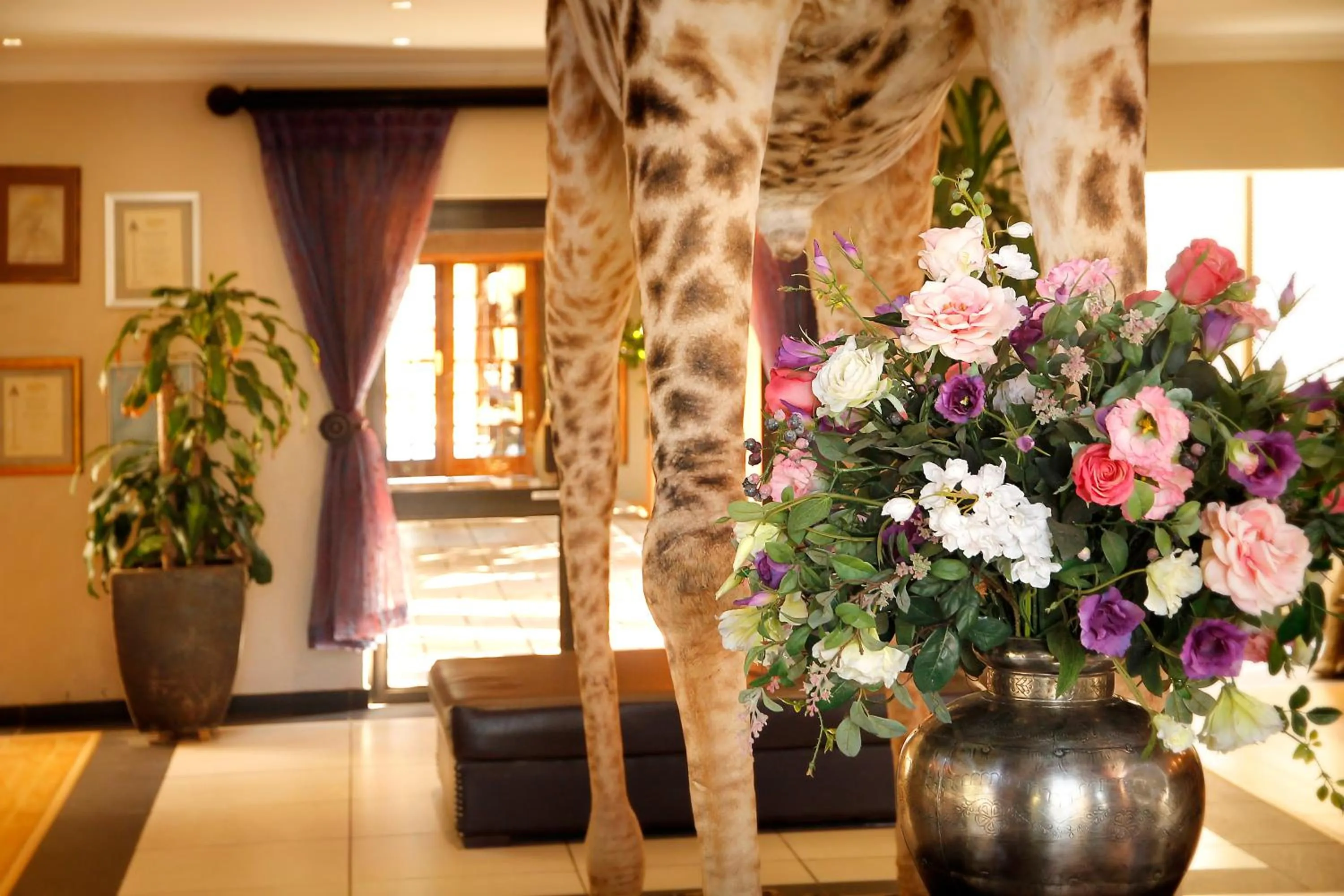 Lobby or reception in Bains Lodge - Sustainable Electricity