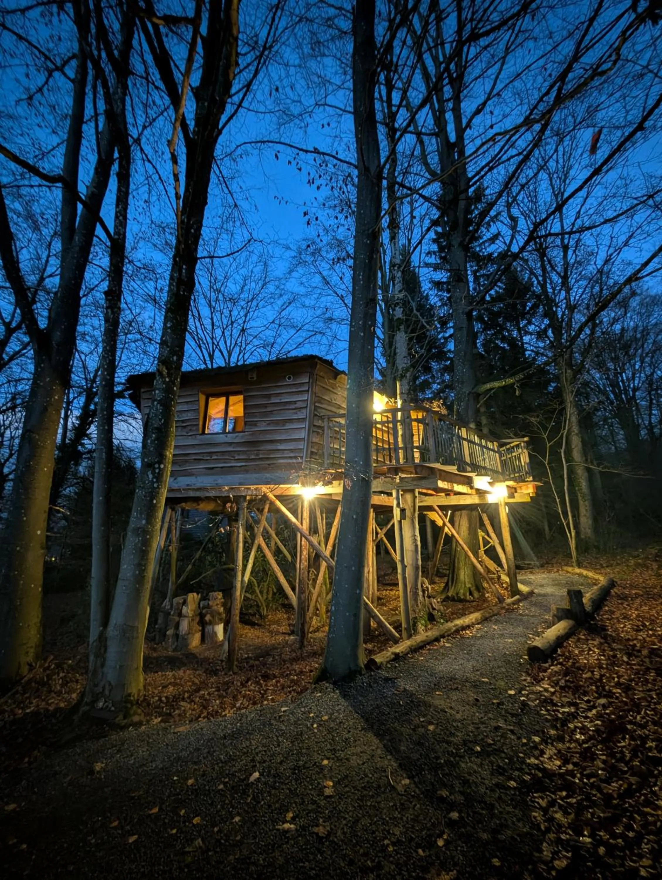 B&B La Cabane du Bois Dormant