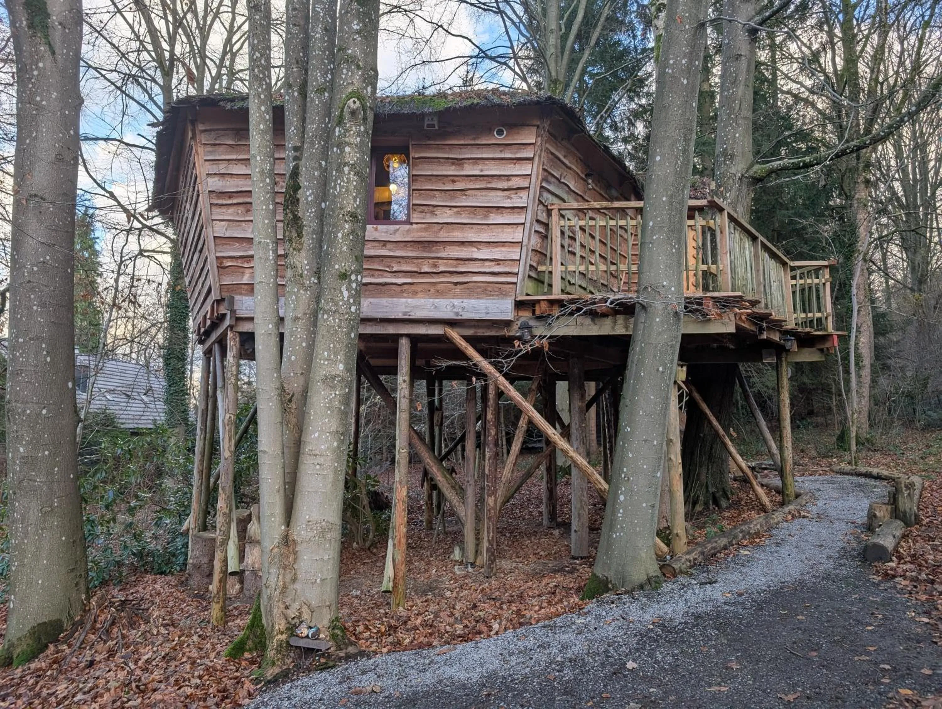 B&B La Cabane du Bois Dormant