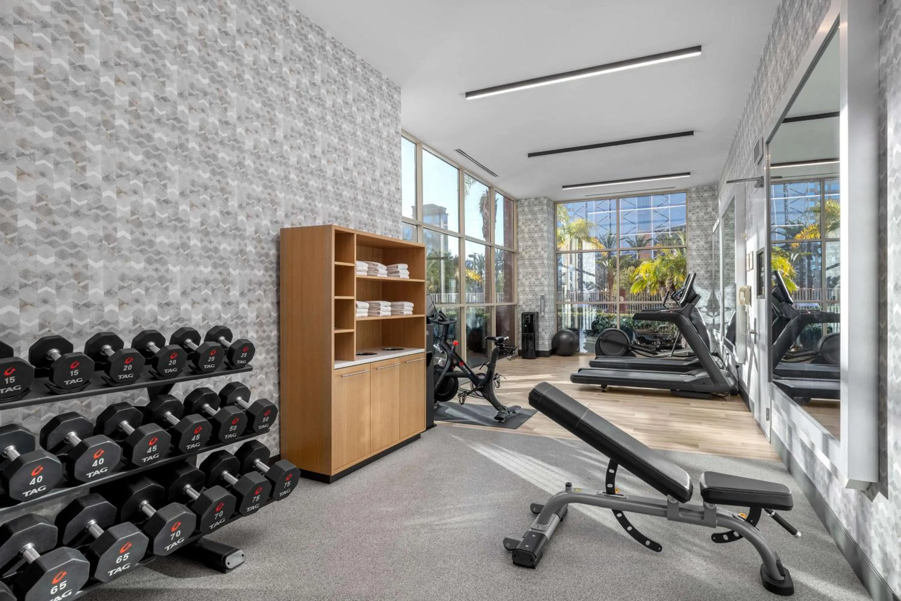 Fitness centre/facilities in Embassy Suites by Hilton Anaheim South