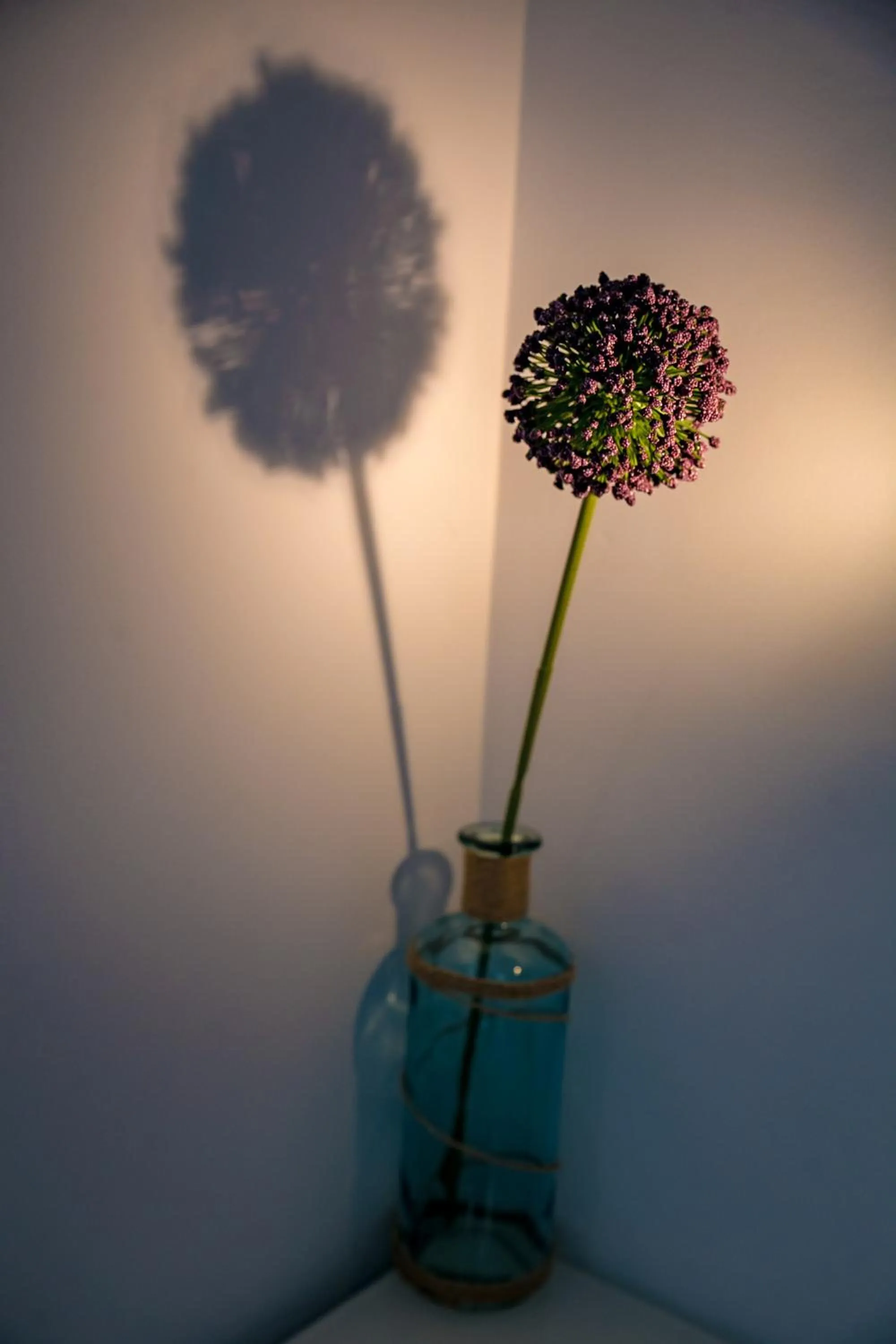 Decorative detail in Villa Casafina Serviced Apartments