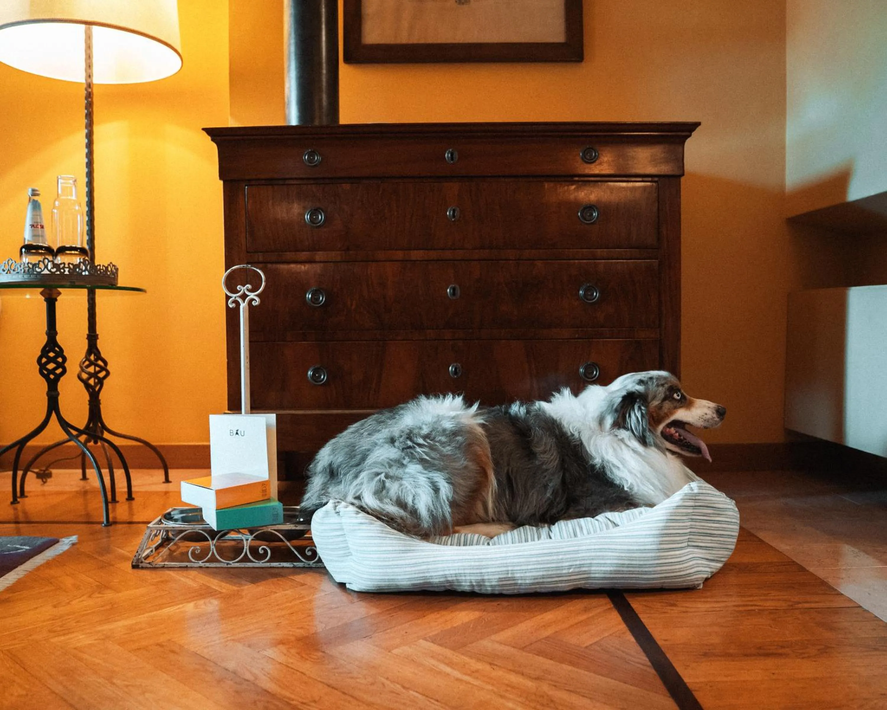 Pets in L'Albereta Relais & Chateaux