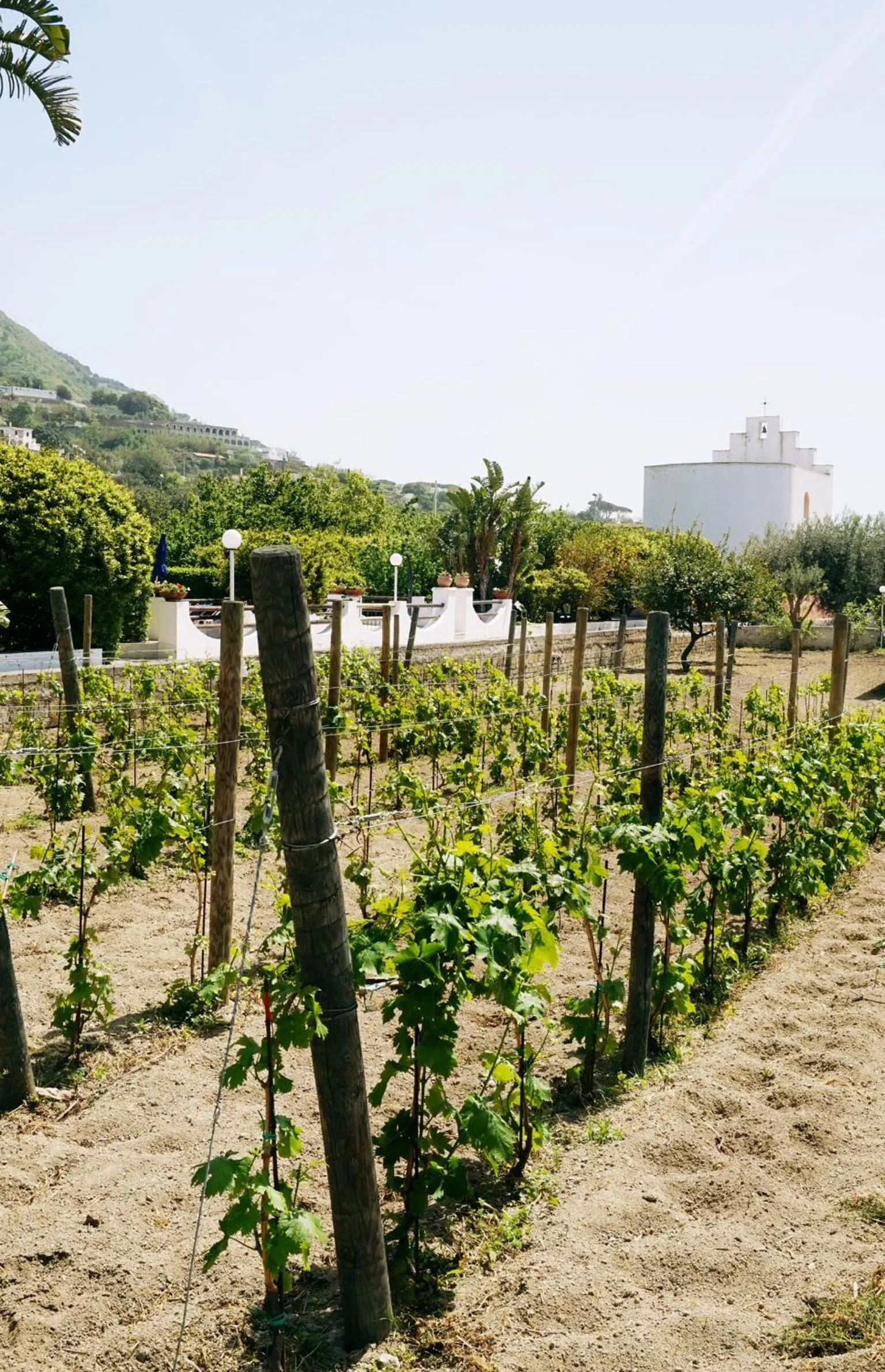 Garden in Residence San Domenico