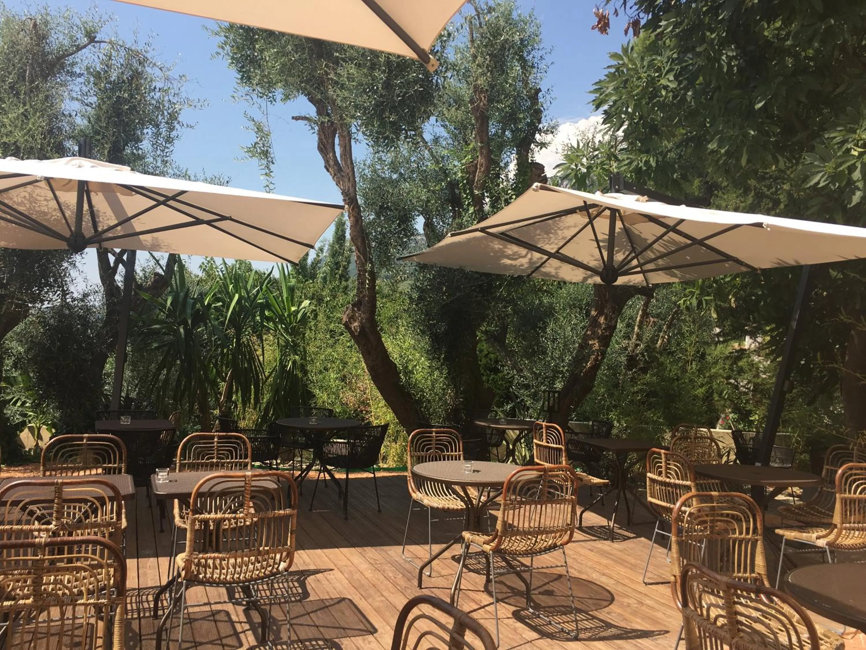 Garden in Avocado Hôtel Restaurant