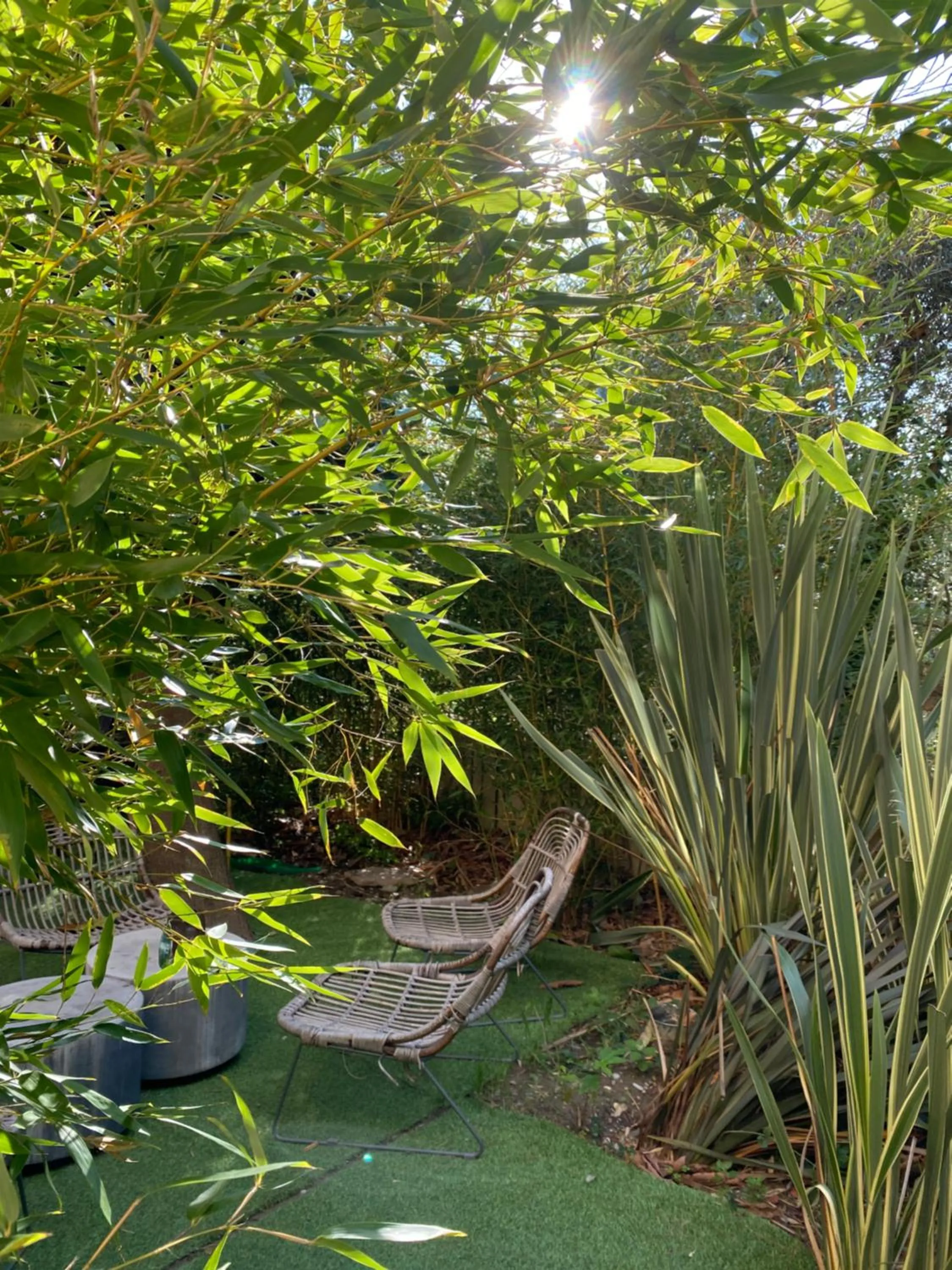 Garden view in Avocado Hôtel Restaurant