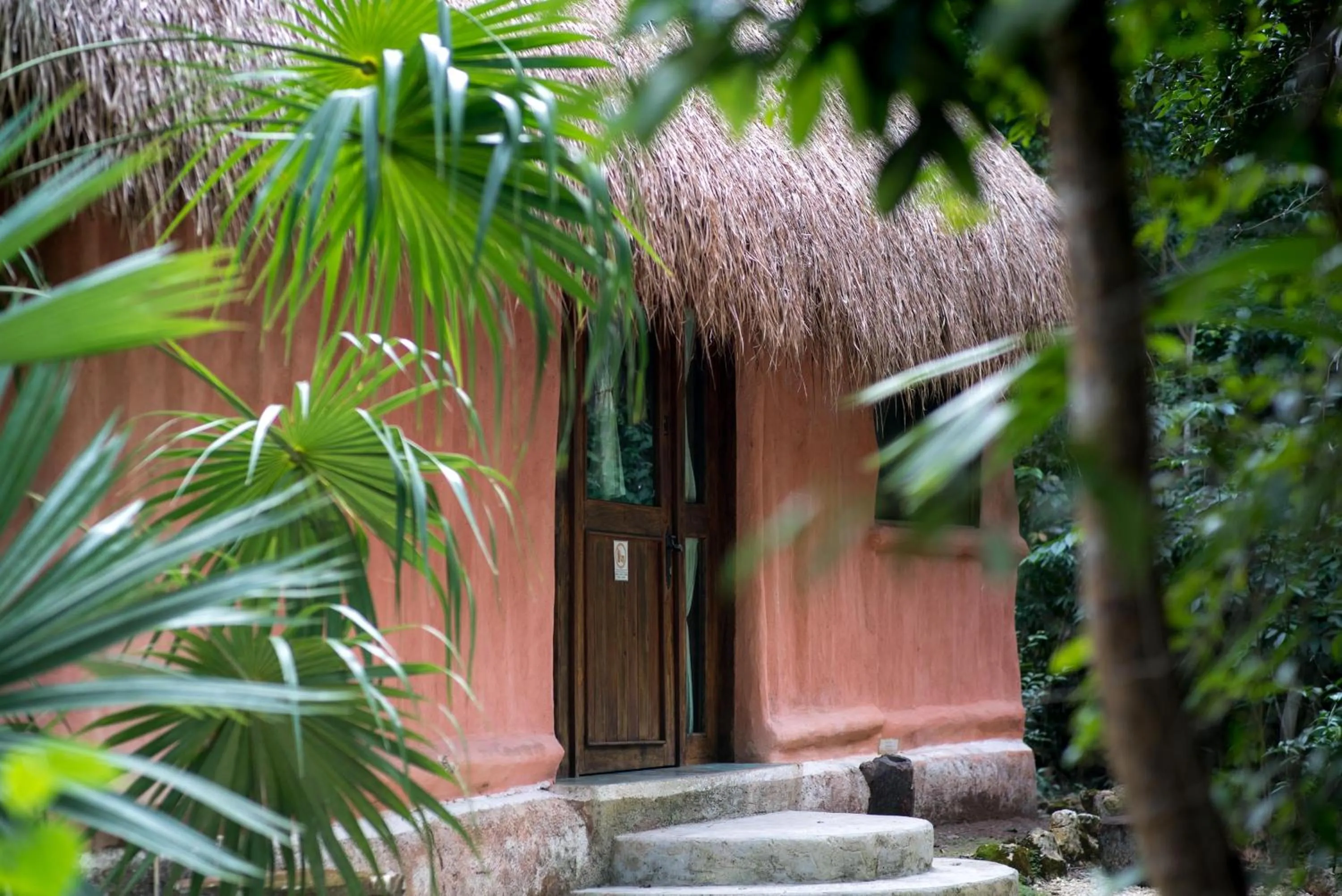 One-Bedroom Cottage in Jolie Jungle Eco Hotel