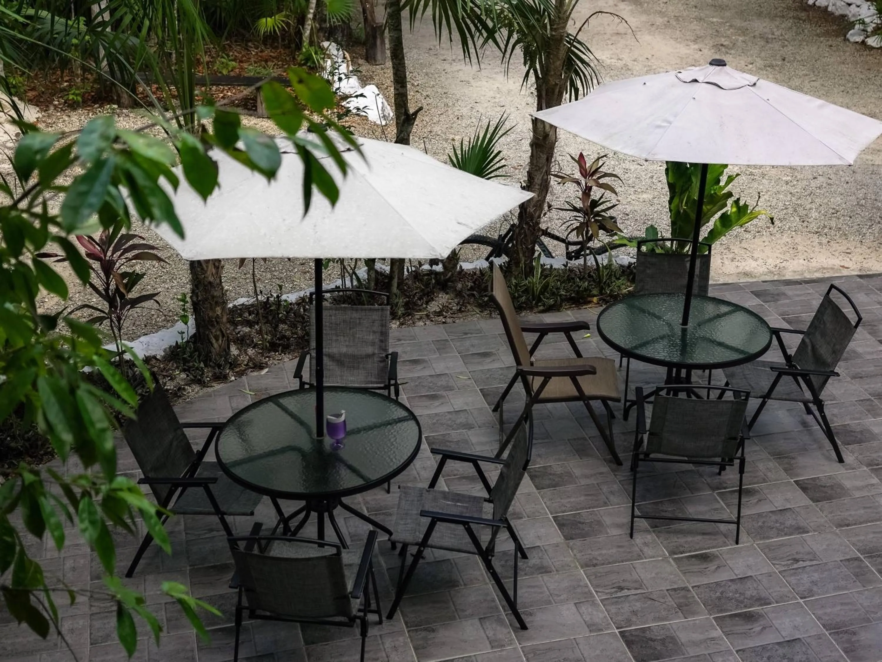 Garden view in Jolie Jungle Eco Hotel