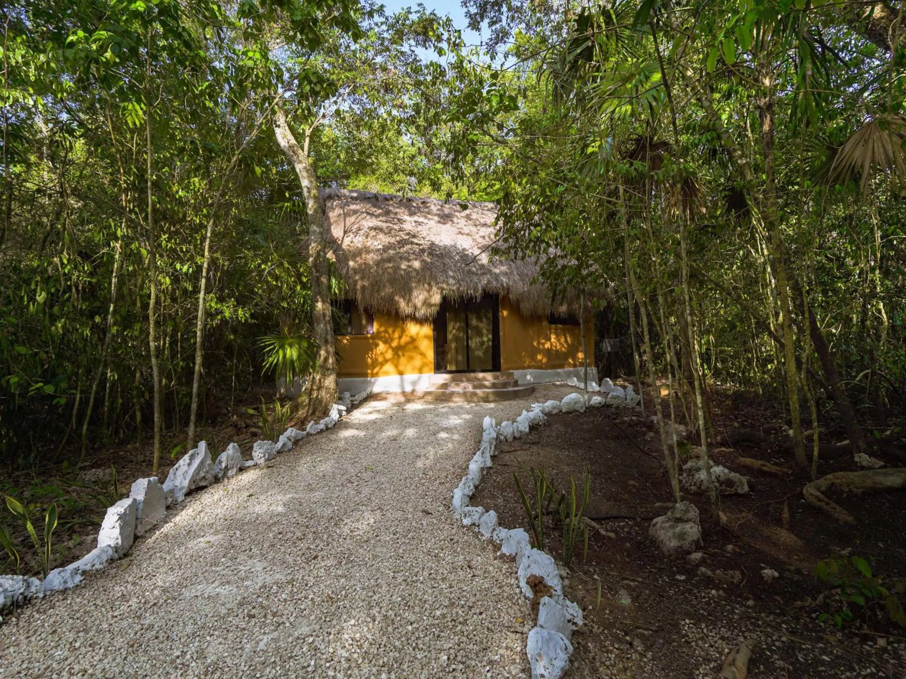 Natural landscape in Jolie Jungle Eco Hotel