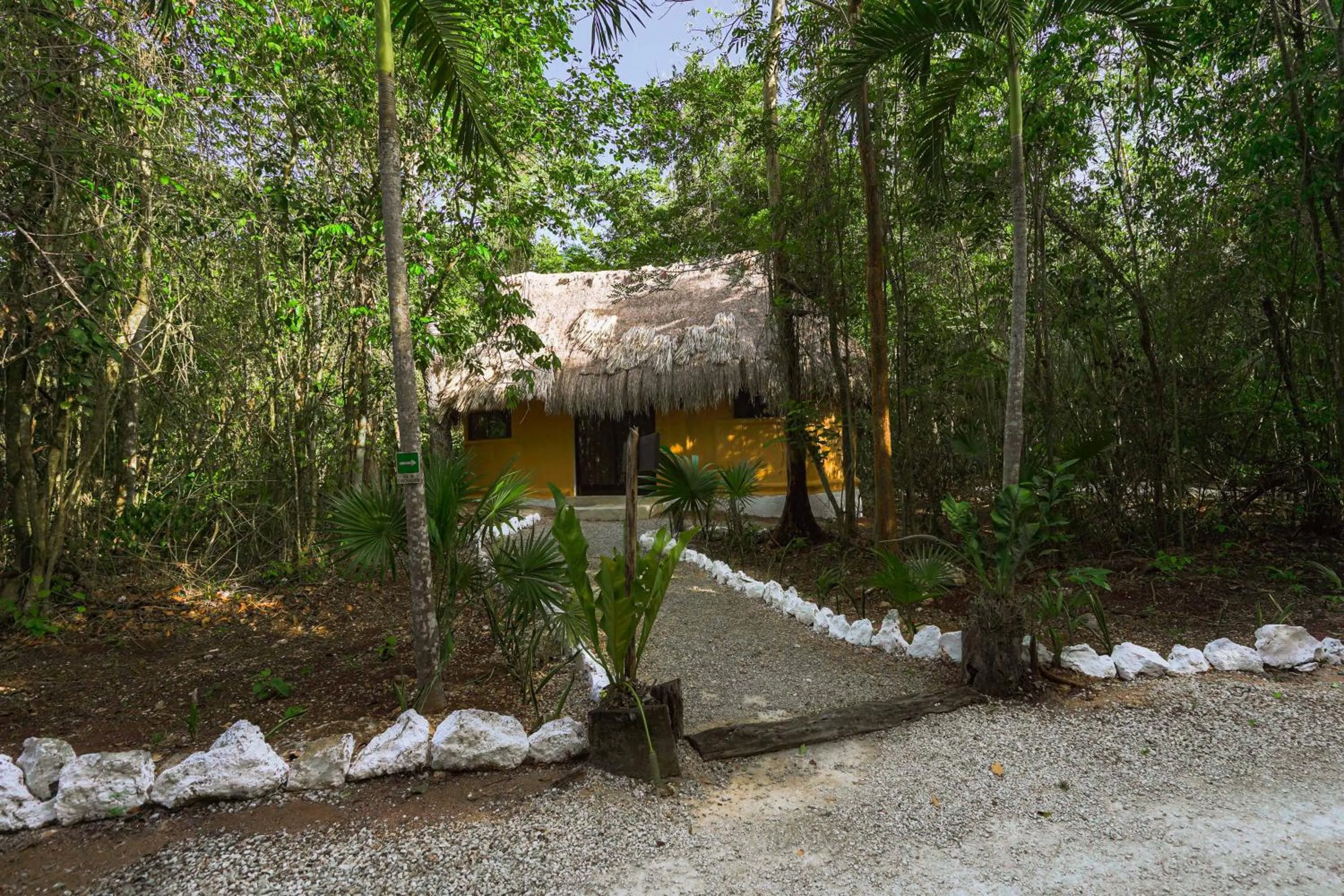 Garden view in Jolie Jungle Eco Hotel