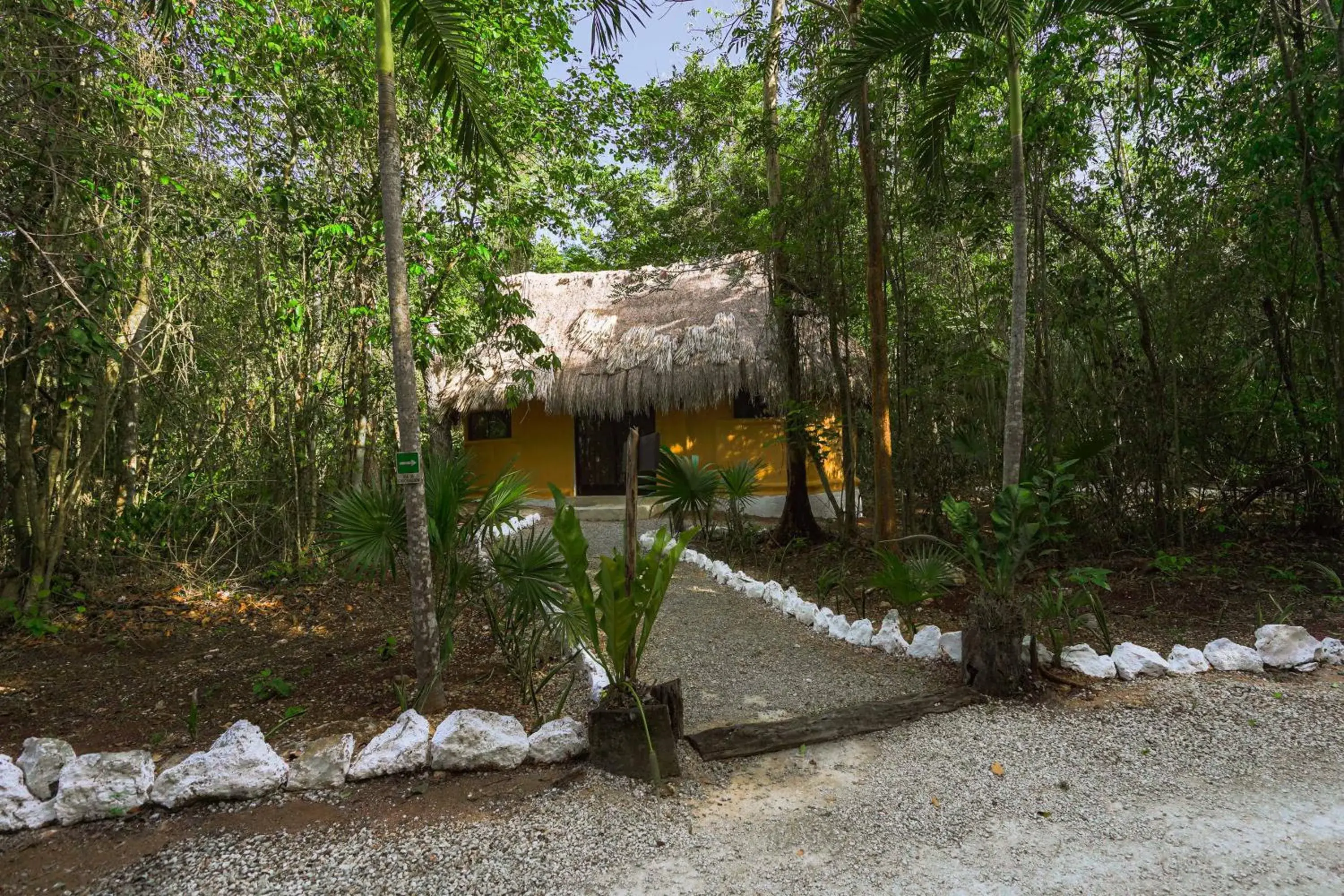 Bungalow in Jolie Jungle Eco Hotel Bungalow in Jolie Jungle Eco Hotel