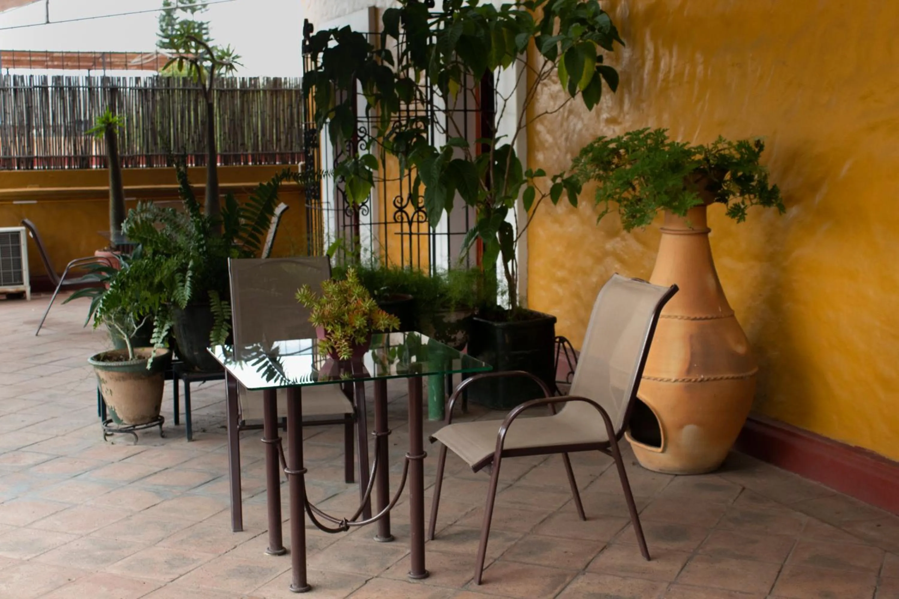 Balcony/Terrace in Hotel Boutique Casa Catrina