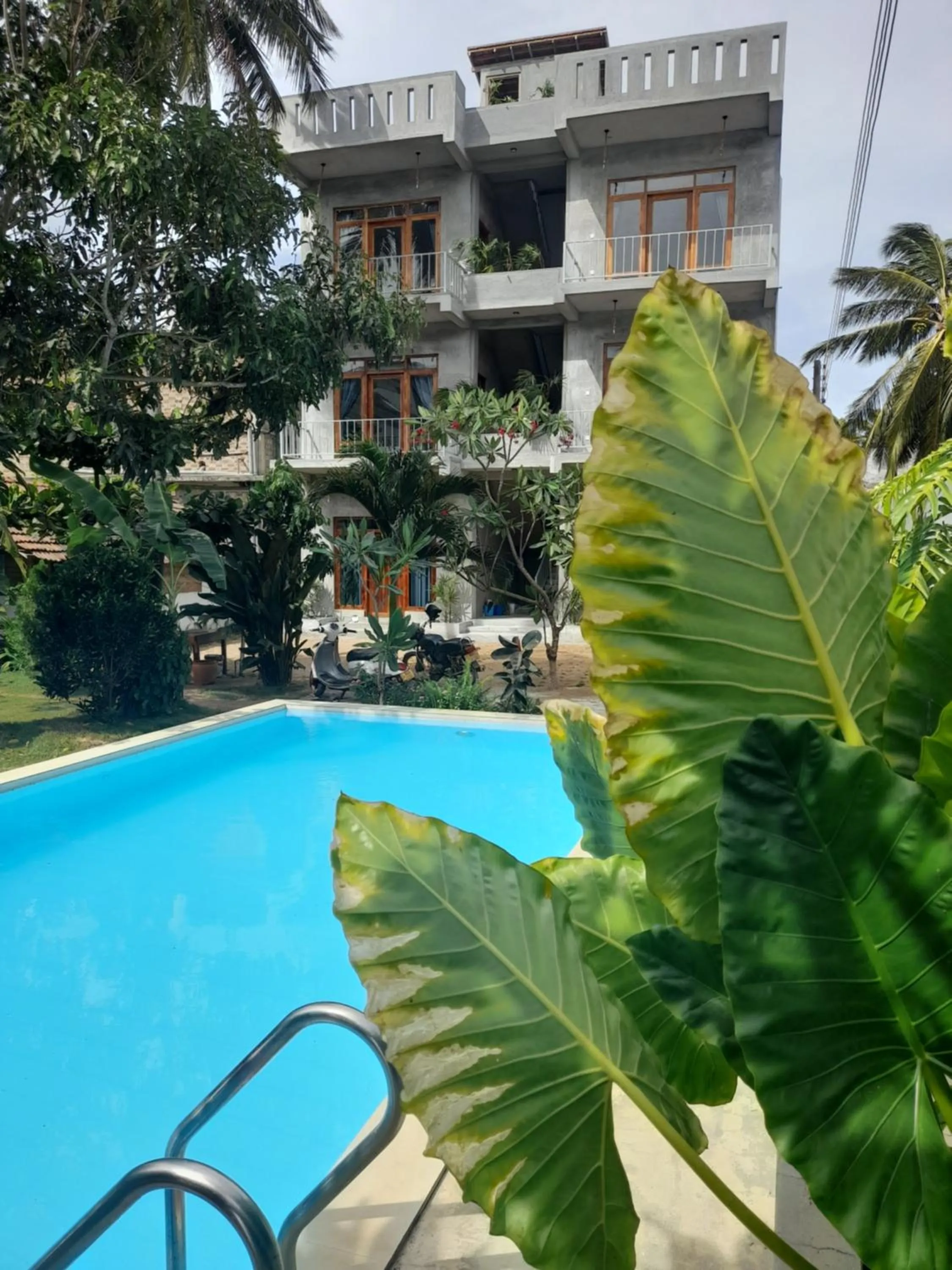 Pool view in Surf Gangs Arugambay