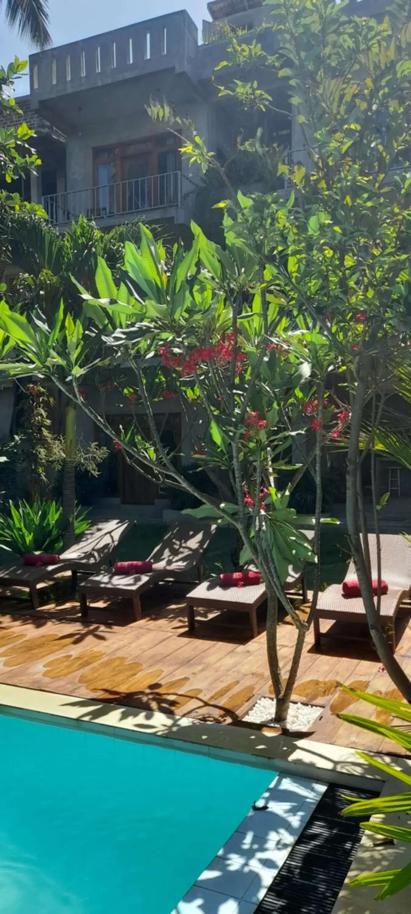 Swimming pool in Surf Gangs Arugambay Swimming pool in Surf Gangs Arugambay