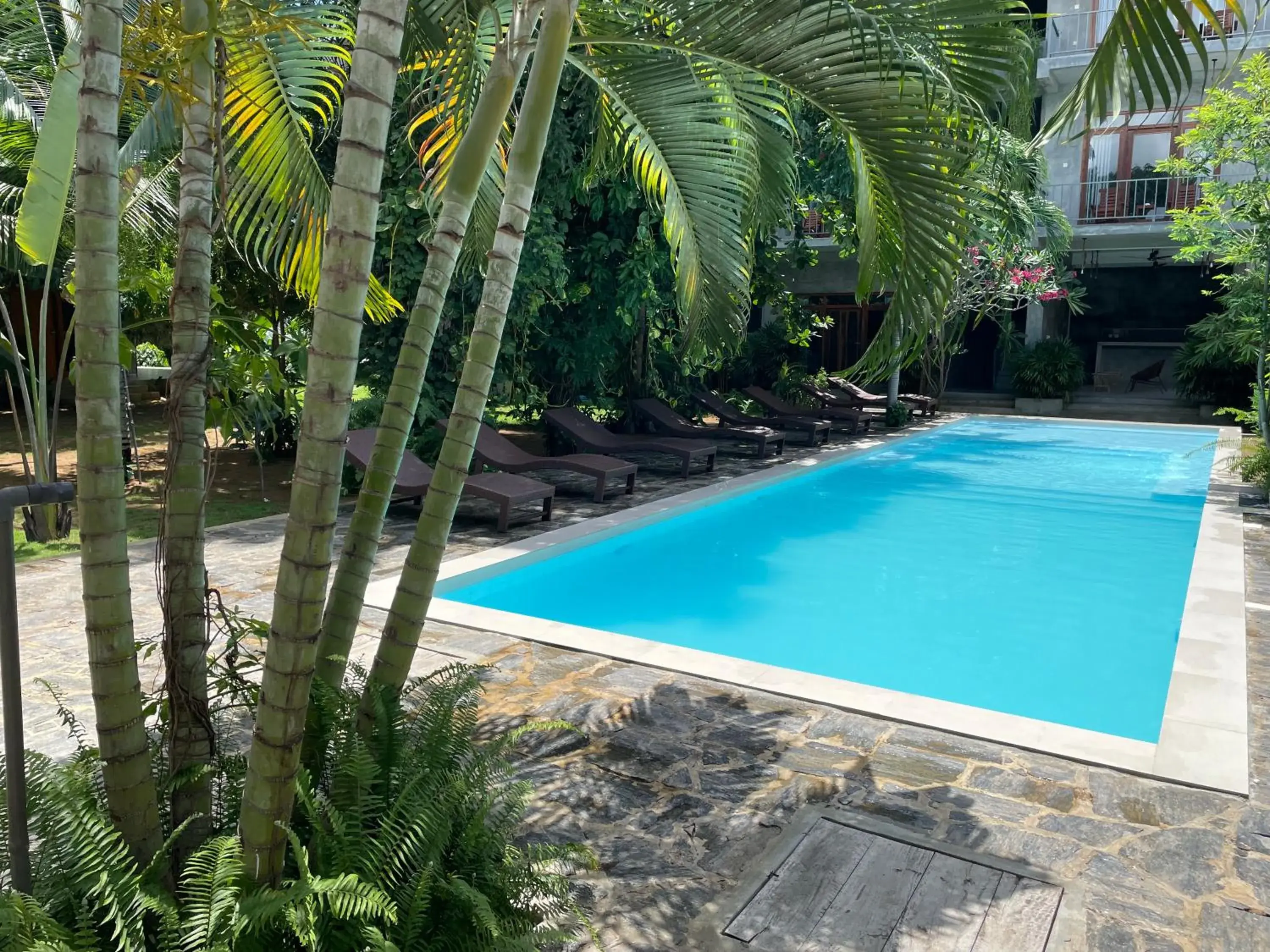 Pool view in Surf Gangs Arugambay Pool view in Surf Gangs Arugambay