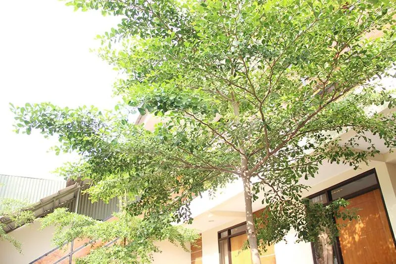 Property building in Bamboe Inn Homestay