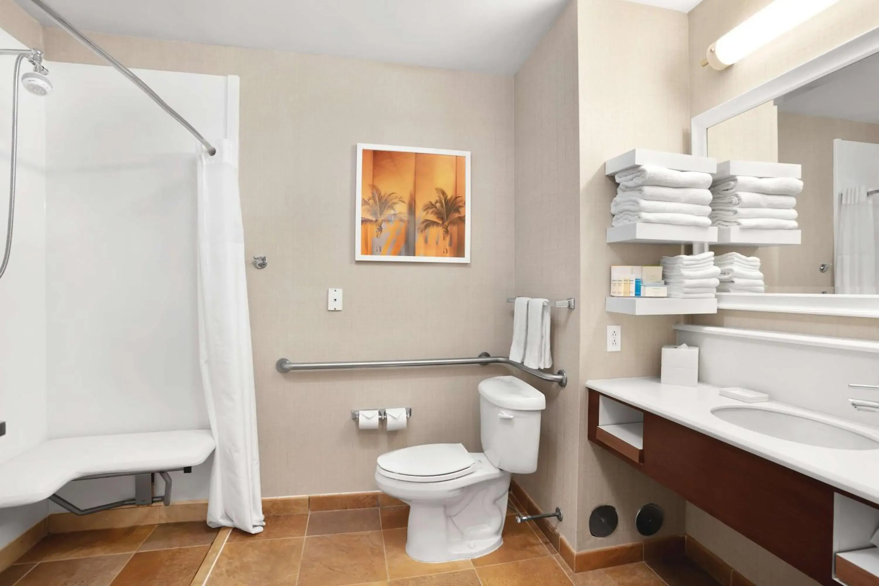 Bathroom in Hampton Inn Hallandale Beach-Aventura Bathroom in Hampton Inn Hallandale Beach-Aventura