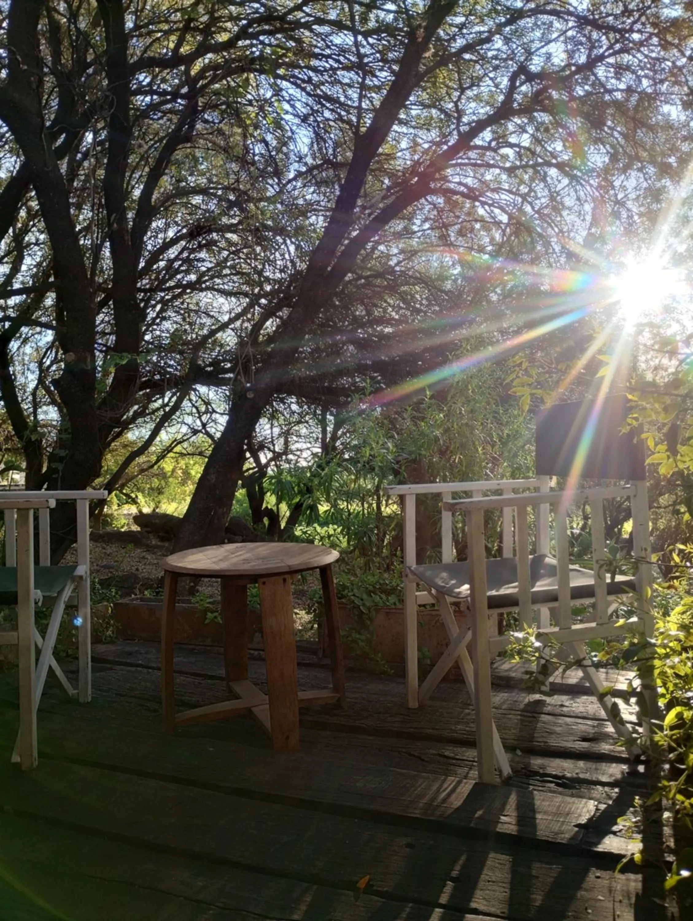 LAS JARILLAS Hostería & Bodega