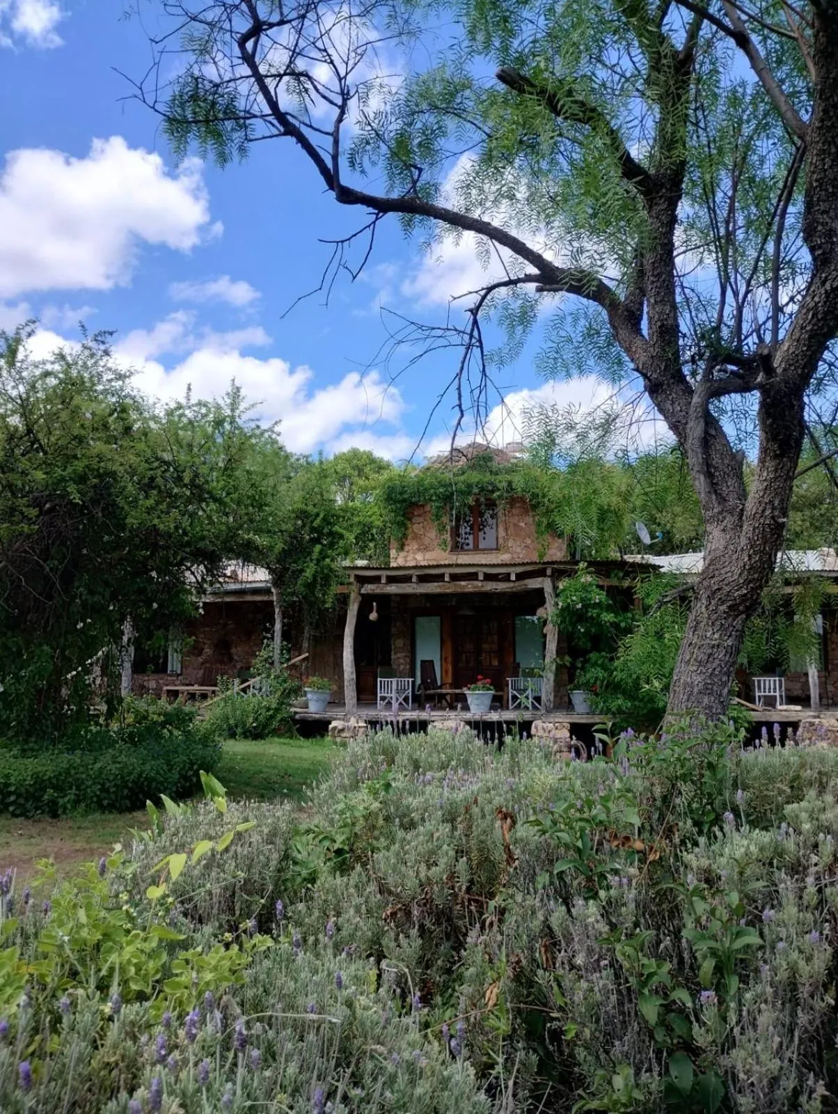 LAS JARILLAS Hostería & Bodega