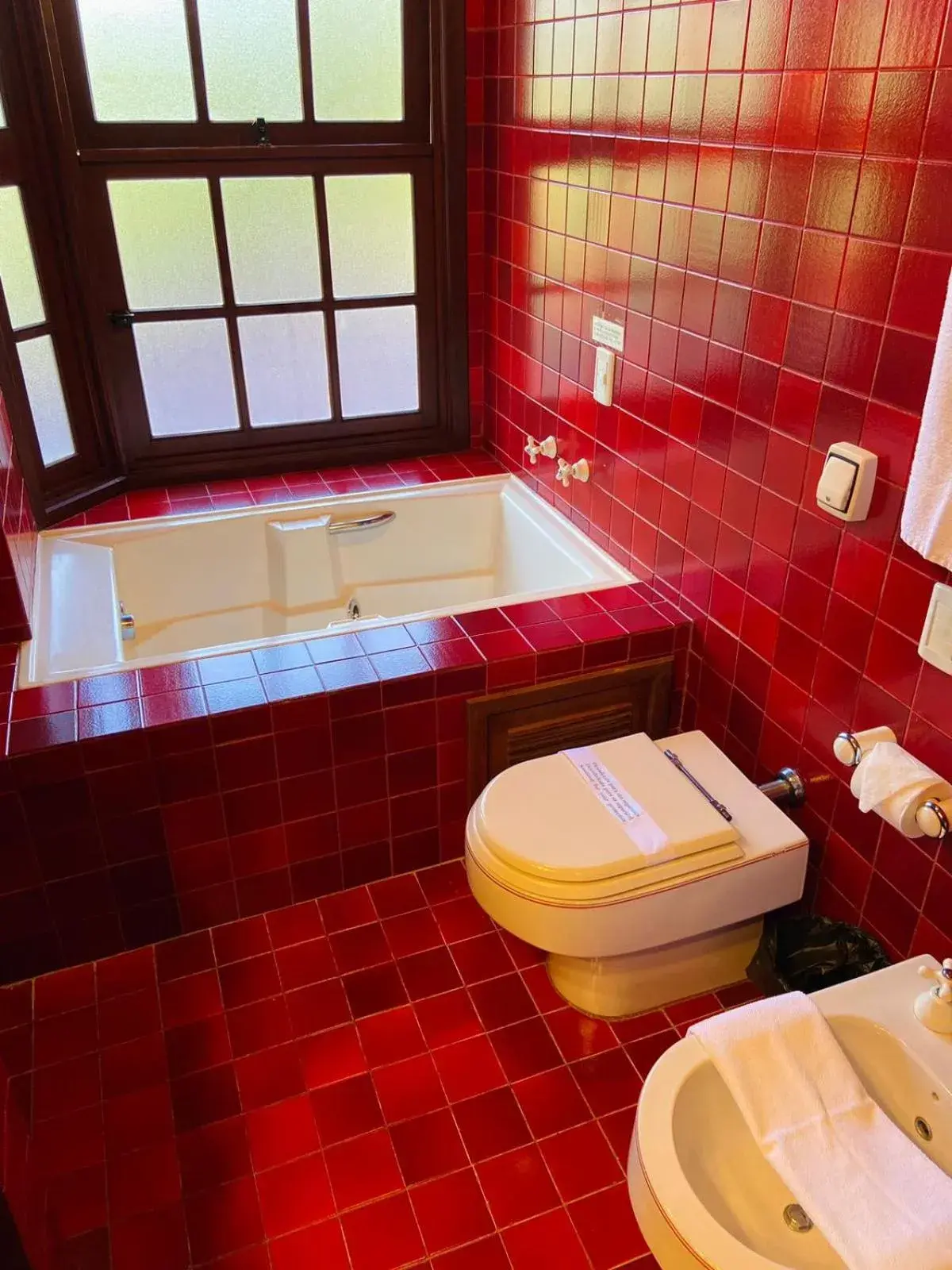 Superior Double Room with Spa Bath in Hotel Águas Claras Superior Double Room with Spa Bath in Hotel Águas Claras