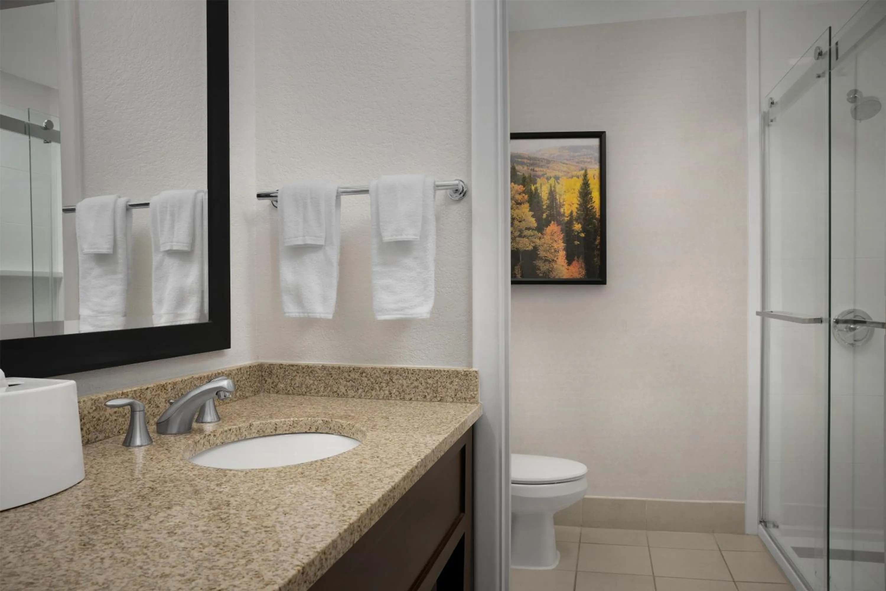 Bathroom in Hampton Inn & Suites Denver Tech Center