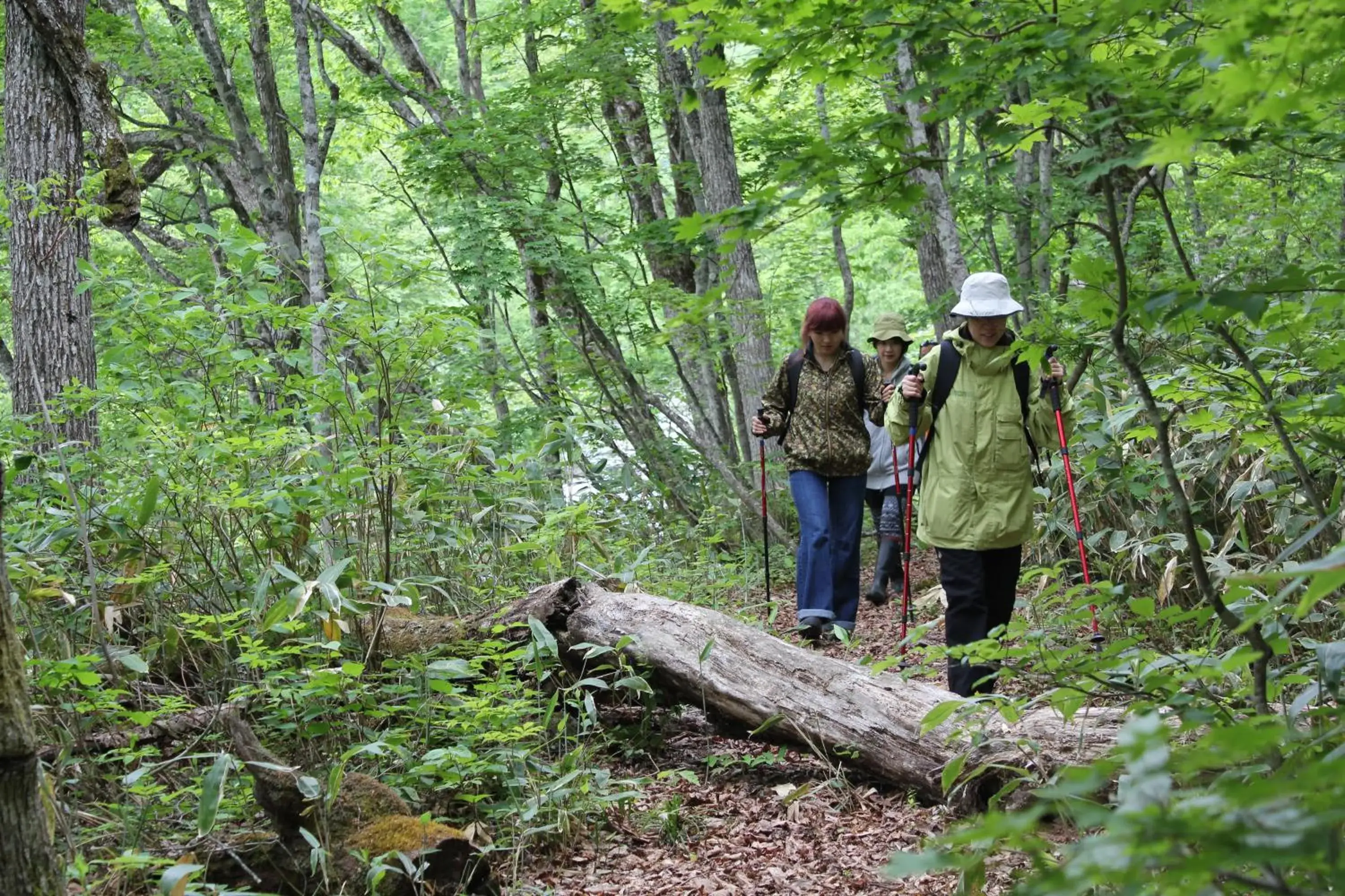 Hiking in Okushiga Kogen Hotel