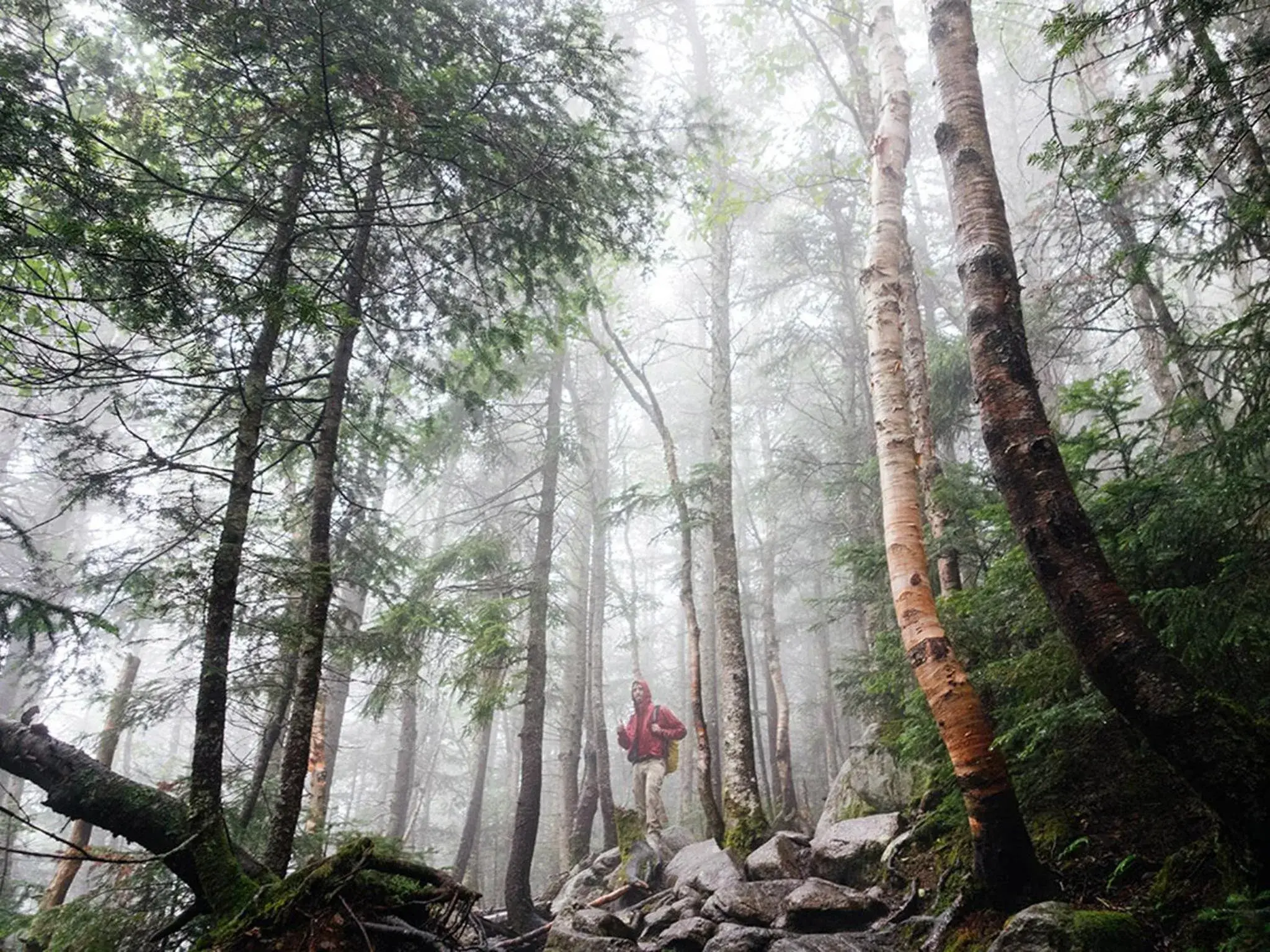 Hiking in Okushiga Kogen Hotel