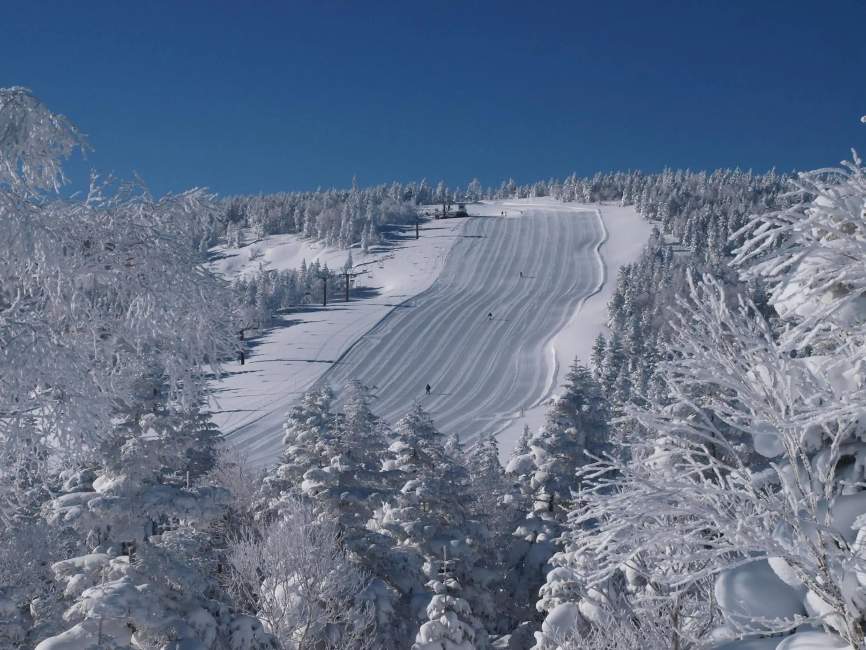 Skiing, Winter in Okushiga Kogen Hotel