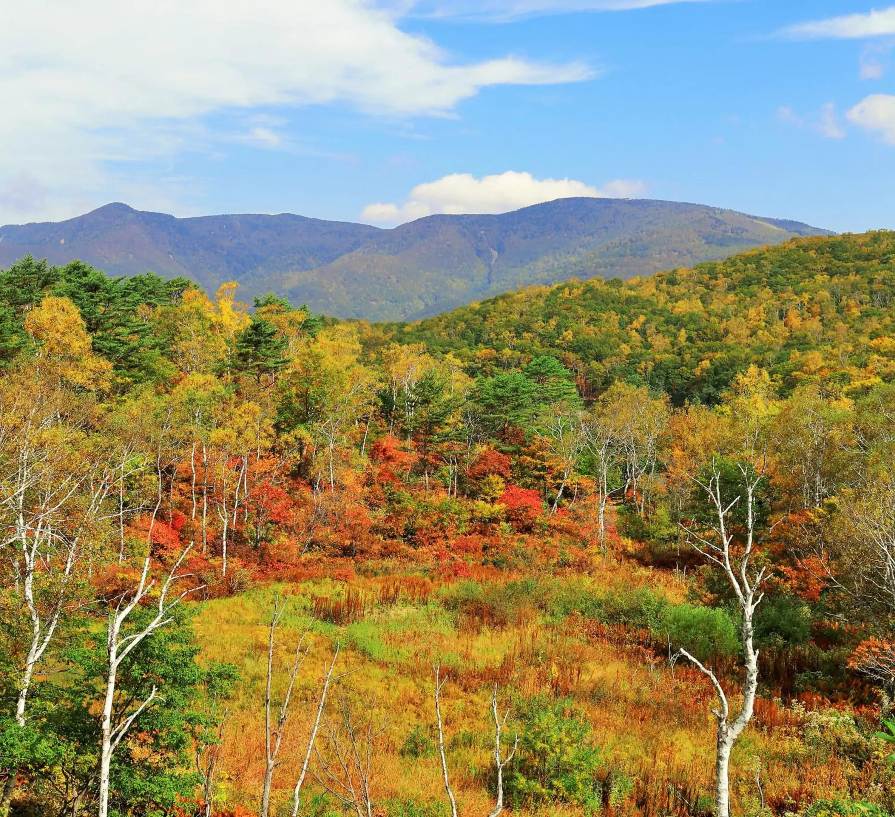 Natural landscape, Mountain View in Okushiga Kogen Hotel