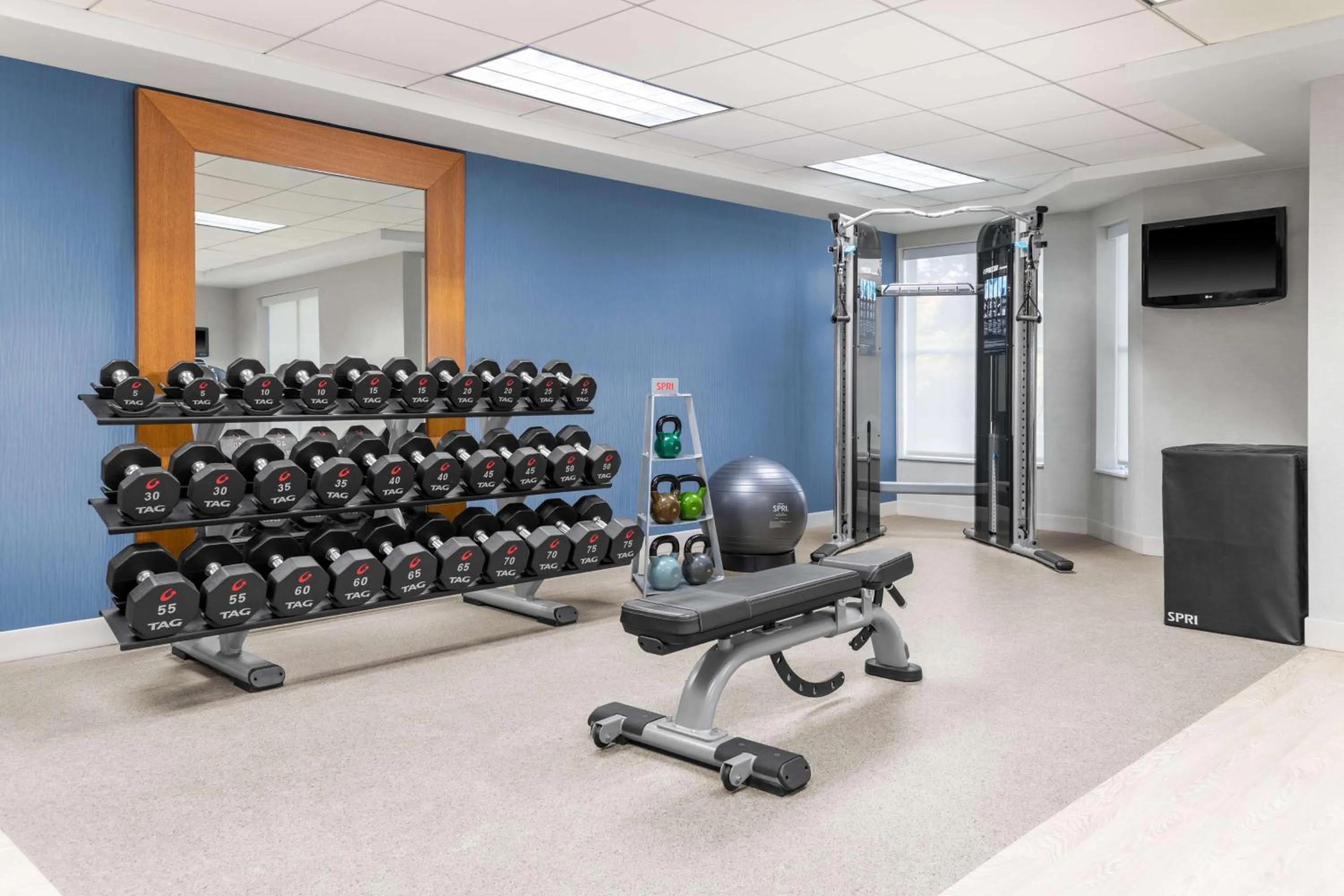 Fitness centre/facilities in Homewood Suites by Hilton Detroit-Troy