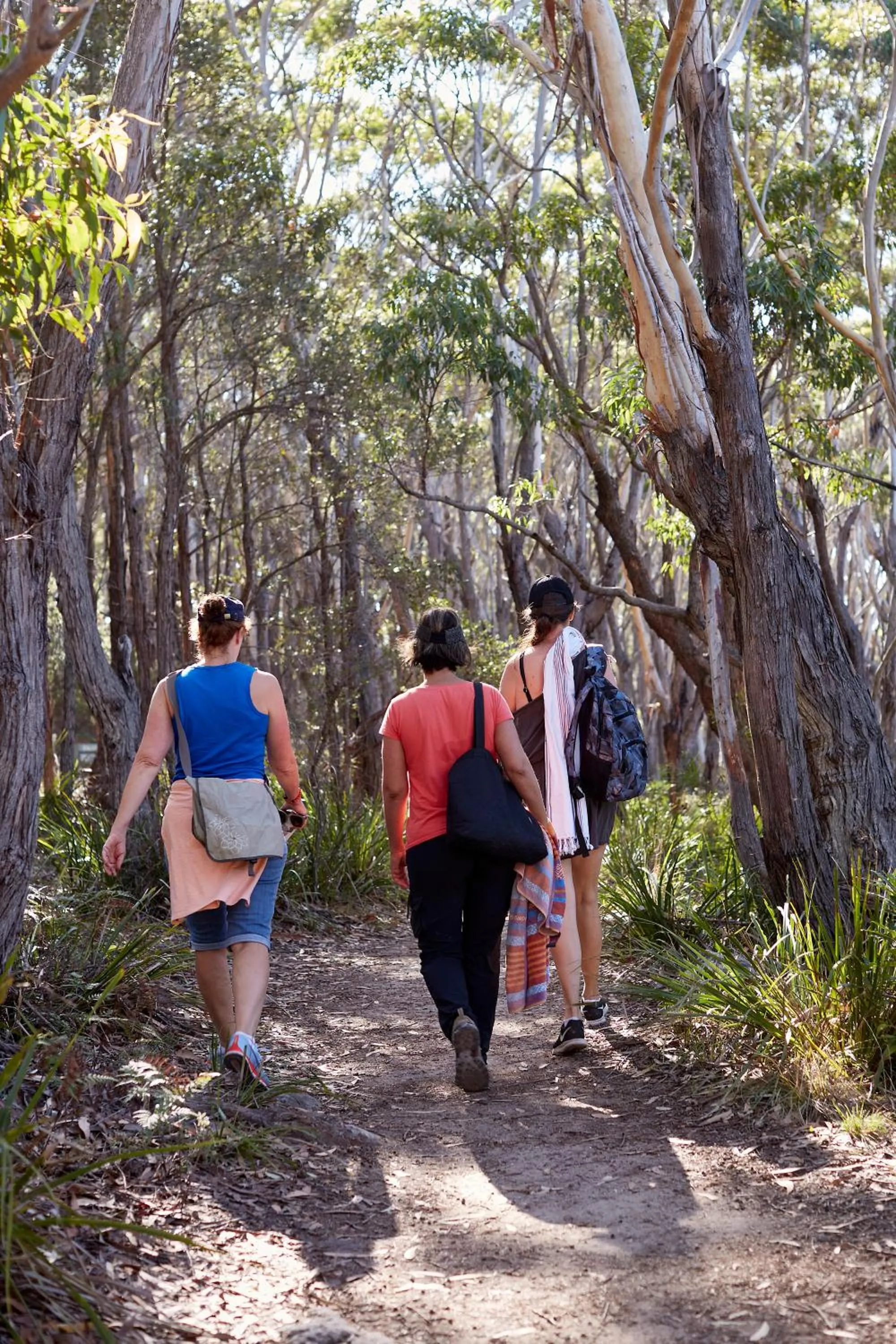 Hiking in Paperbark Camp