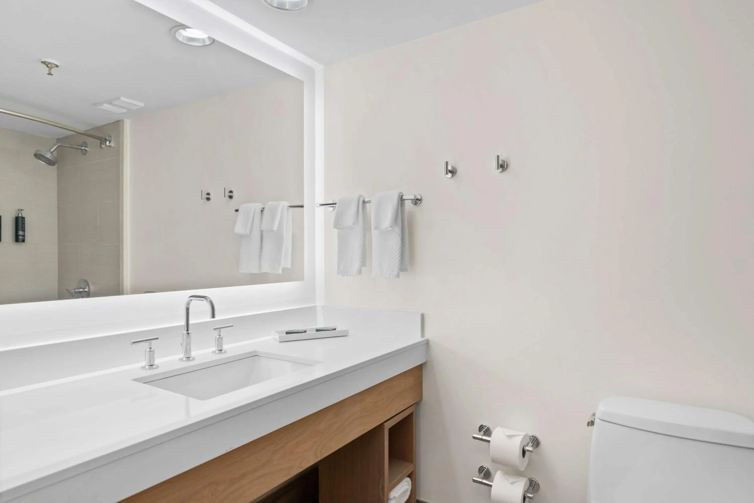 Bathroom in Hilton Sandestin Beach Golf Resort & Spa